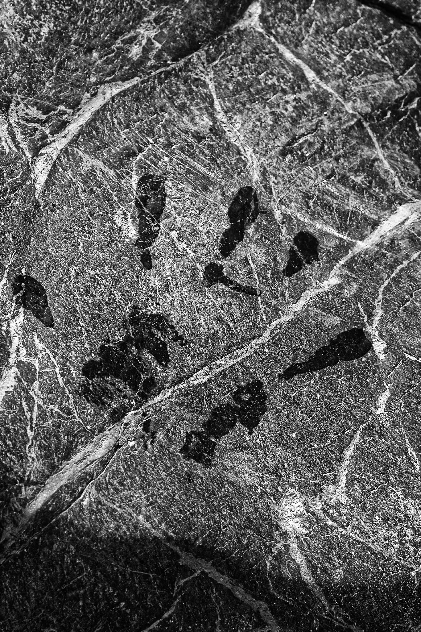La Mano dell'Uomo
