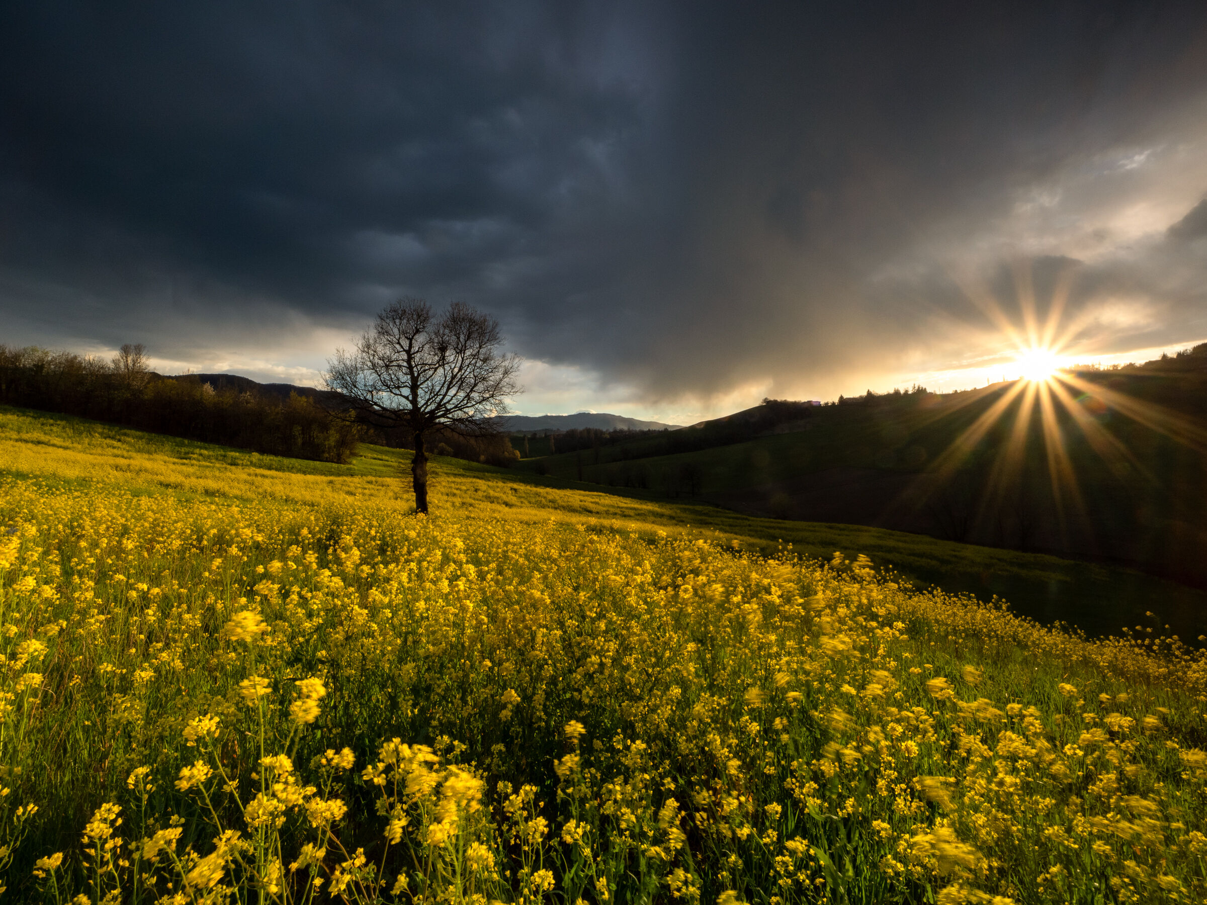 Spring thunderstorm