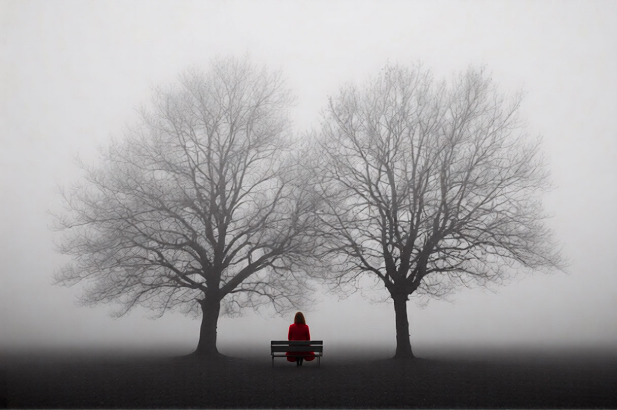 Untitled Photo