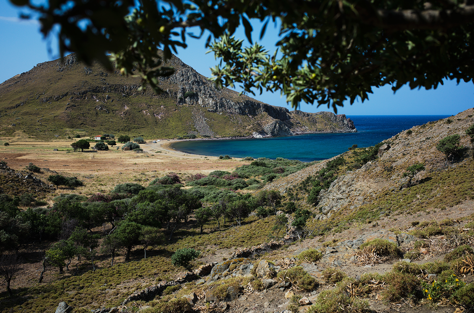 Insenatura solitaria