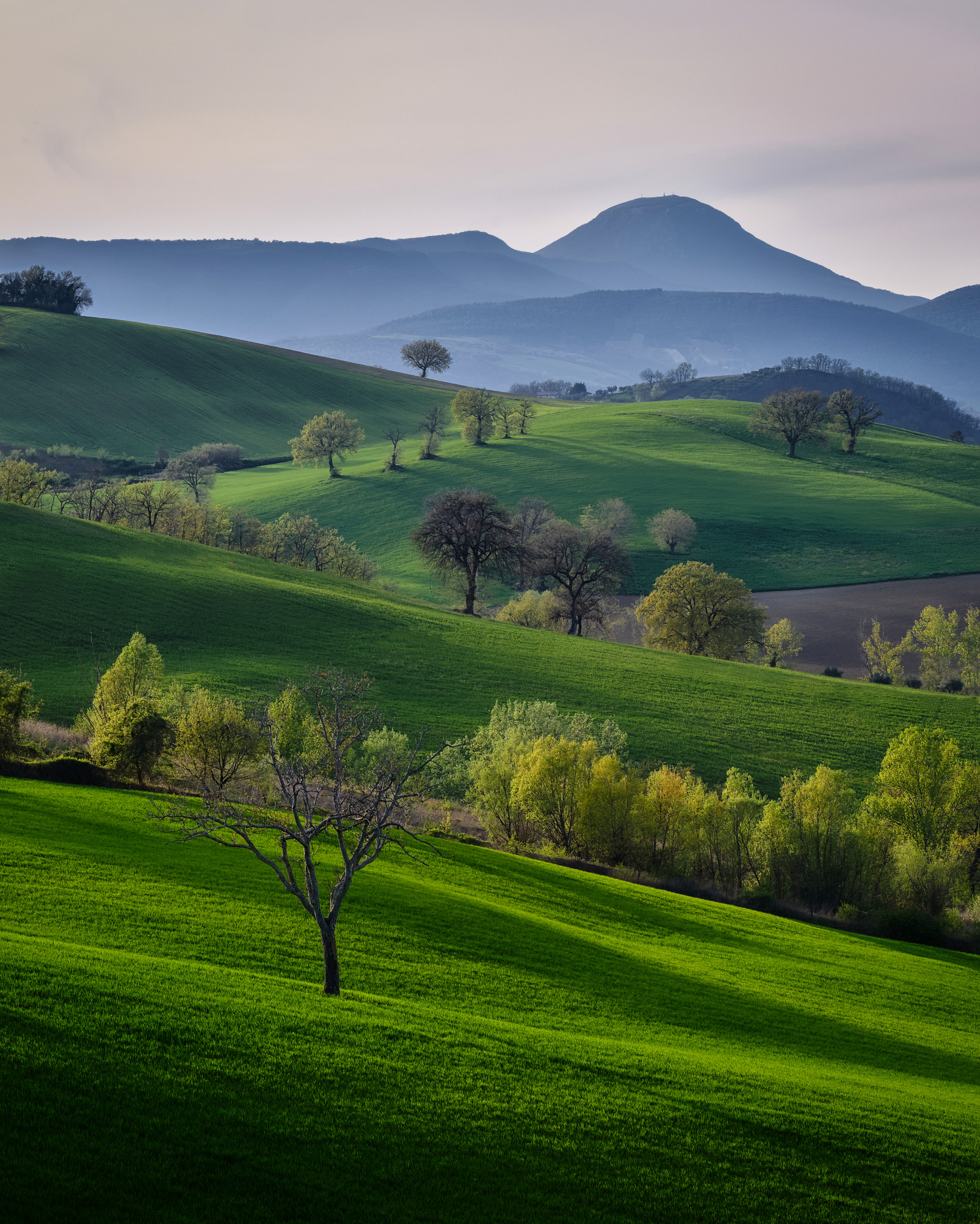 Countryside of San Severino Marche (MC)