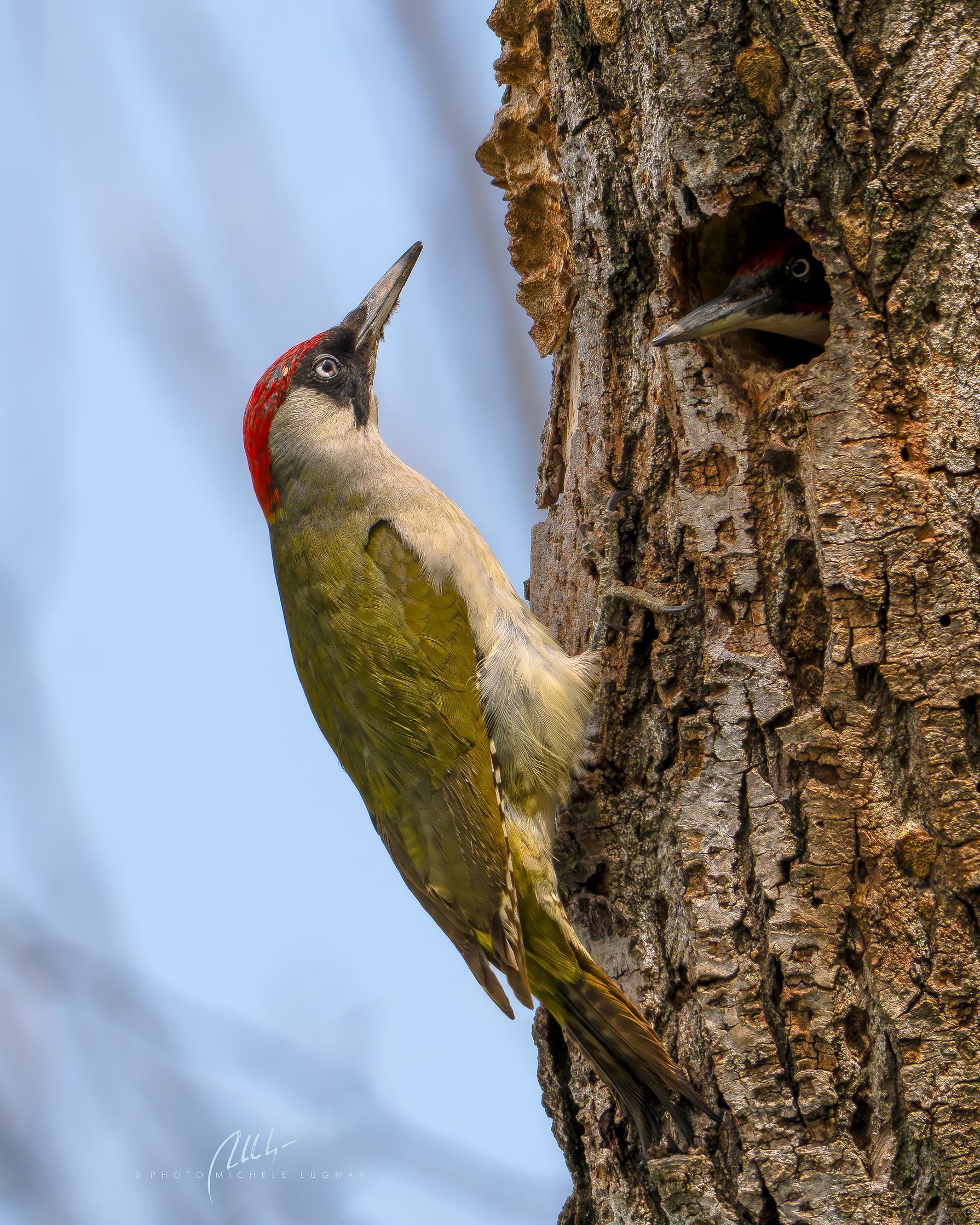 Is there anybody out there ?