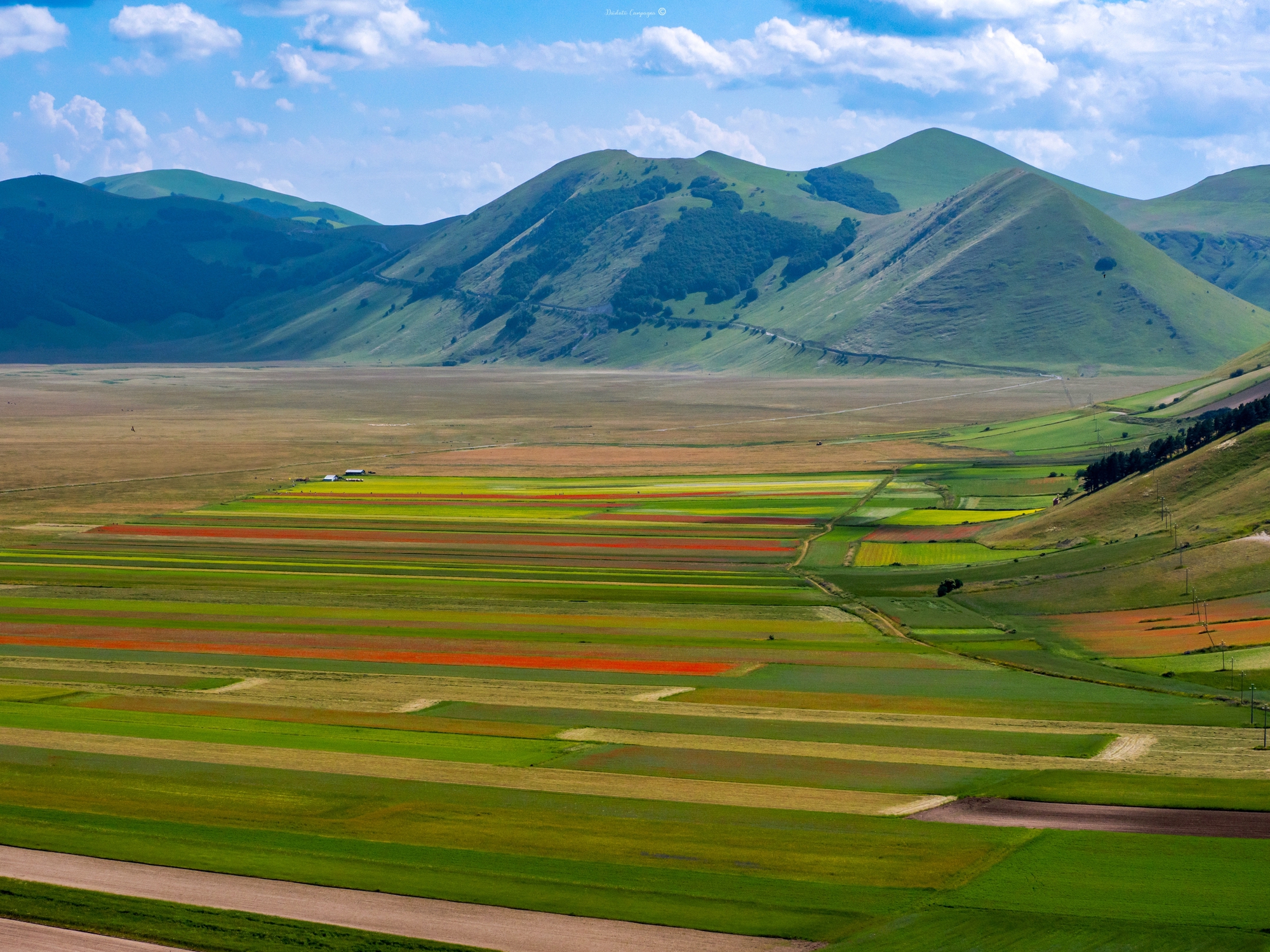 Piani di Castelluccio