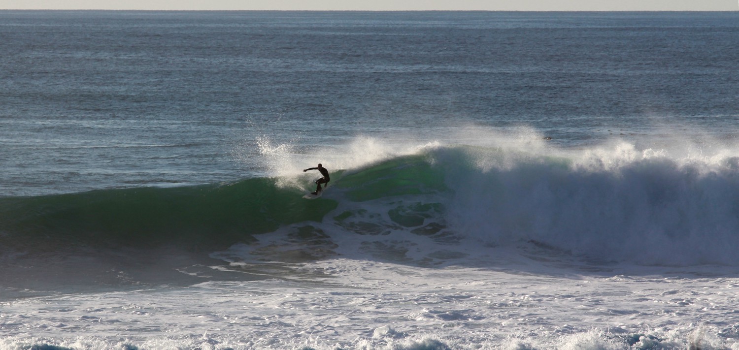 Equitazione teh onda