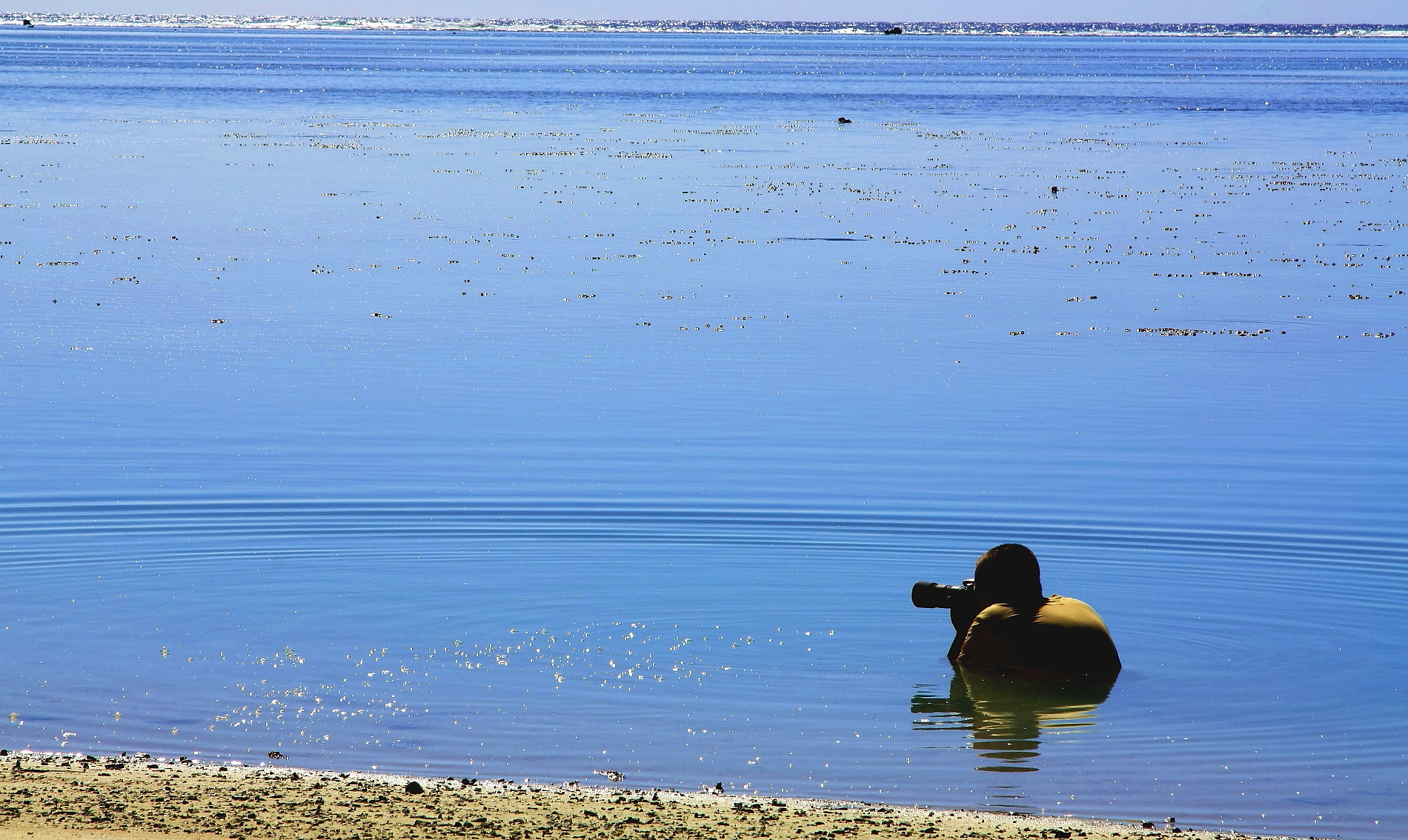 Fotografo dentro , Rarotonga