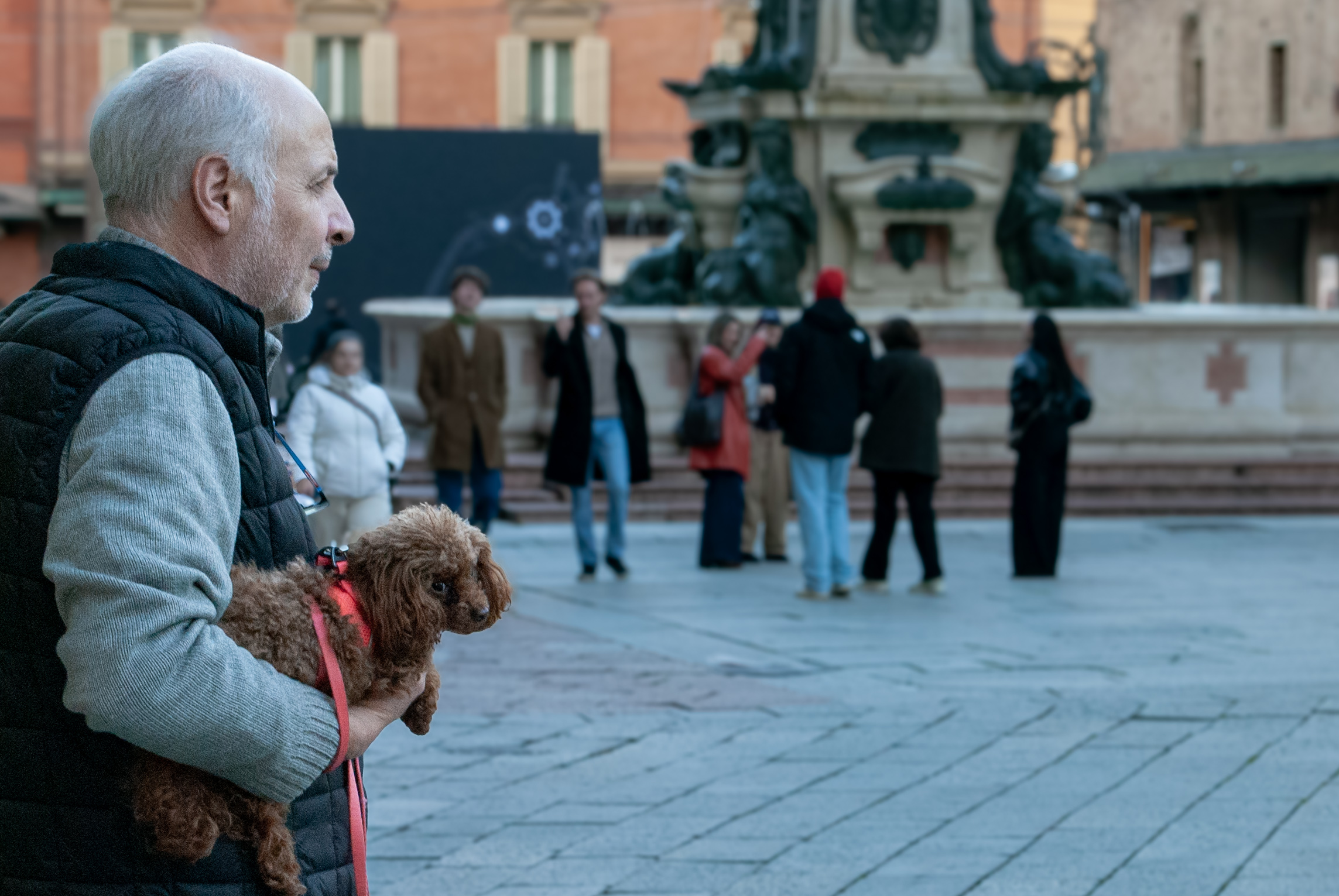 Cane in braccio