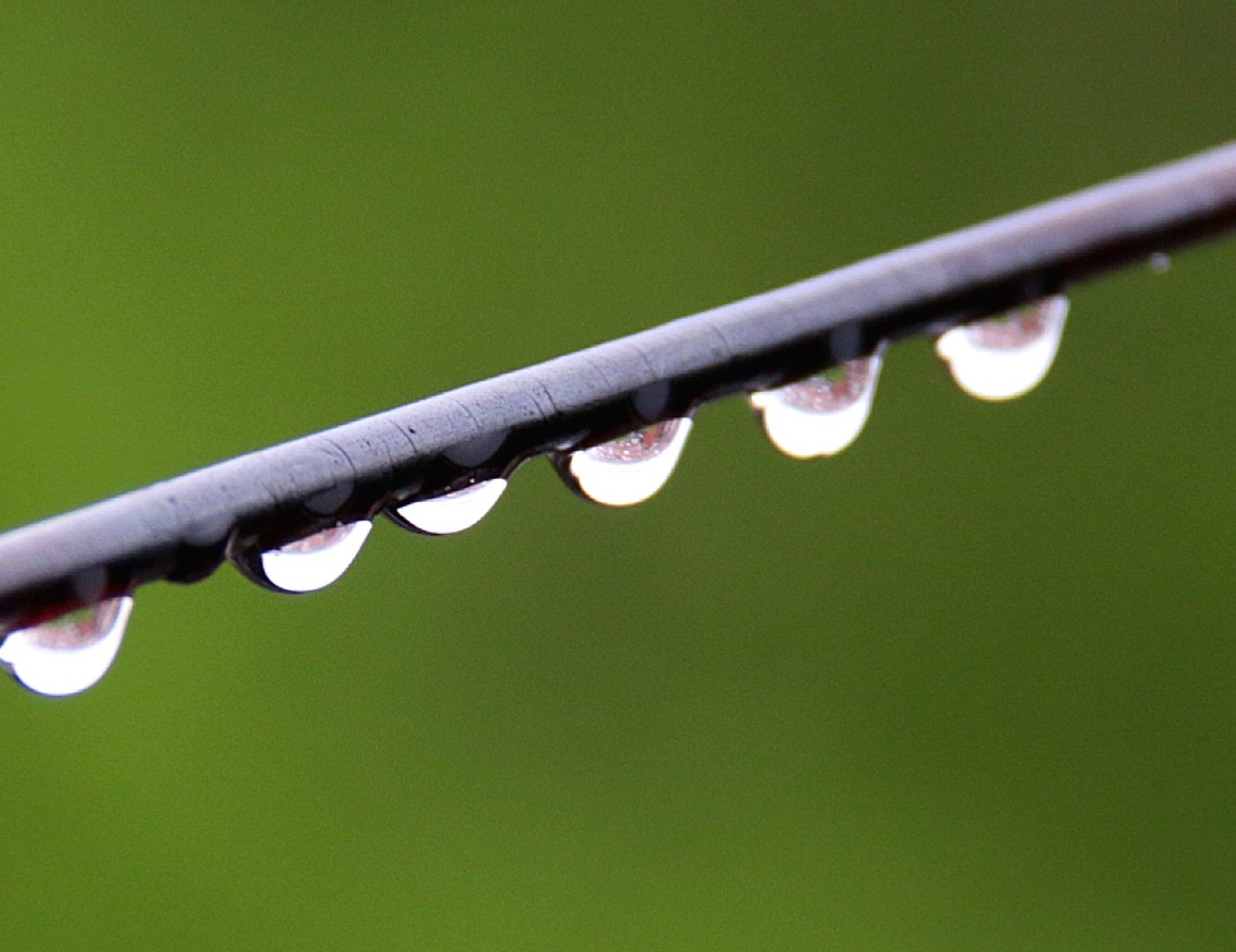 Gocce d'acqua sullo stendino