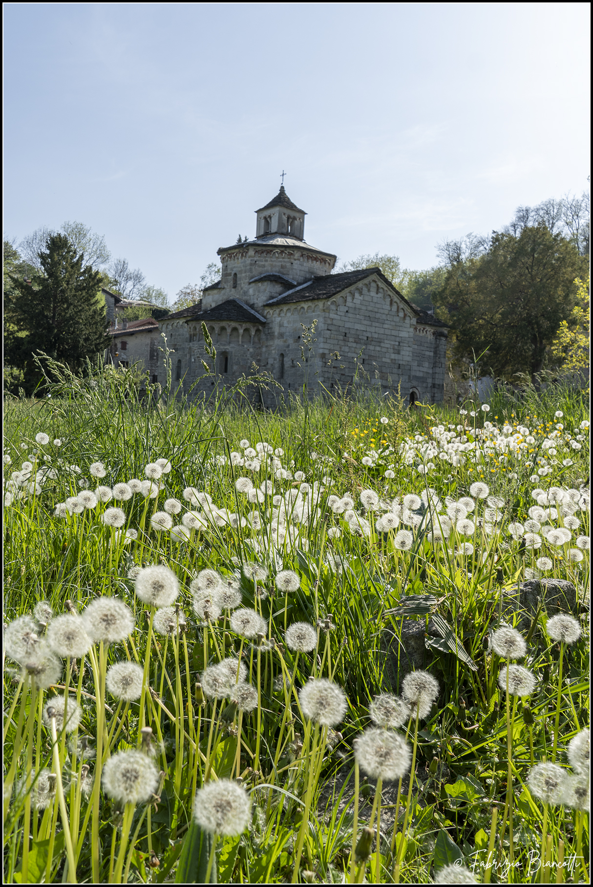 Primavera