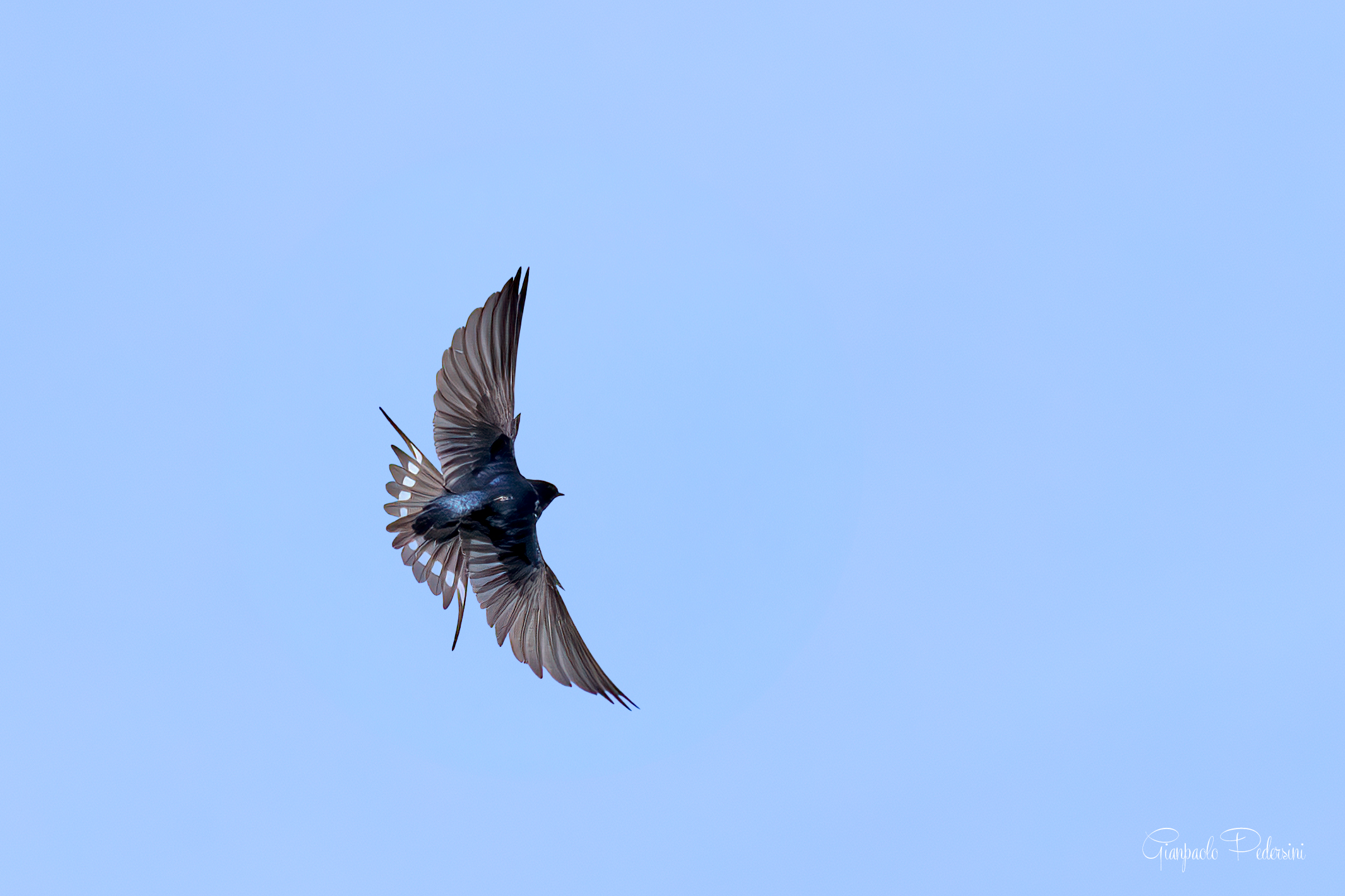 Acrobazie in volo