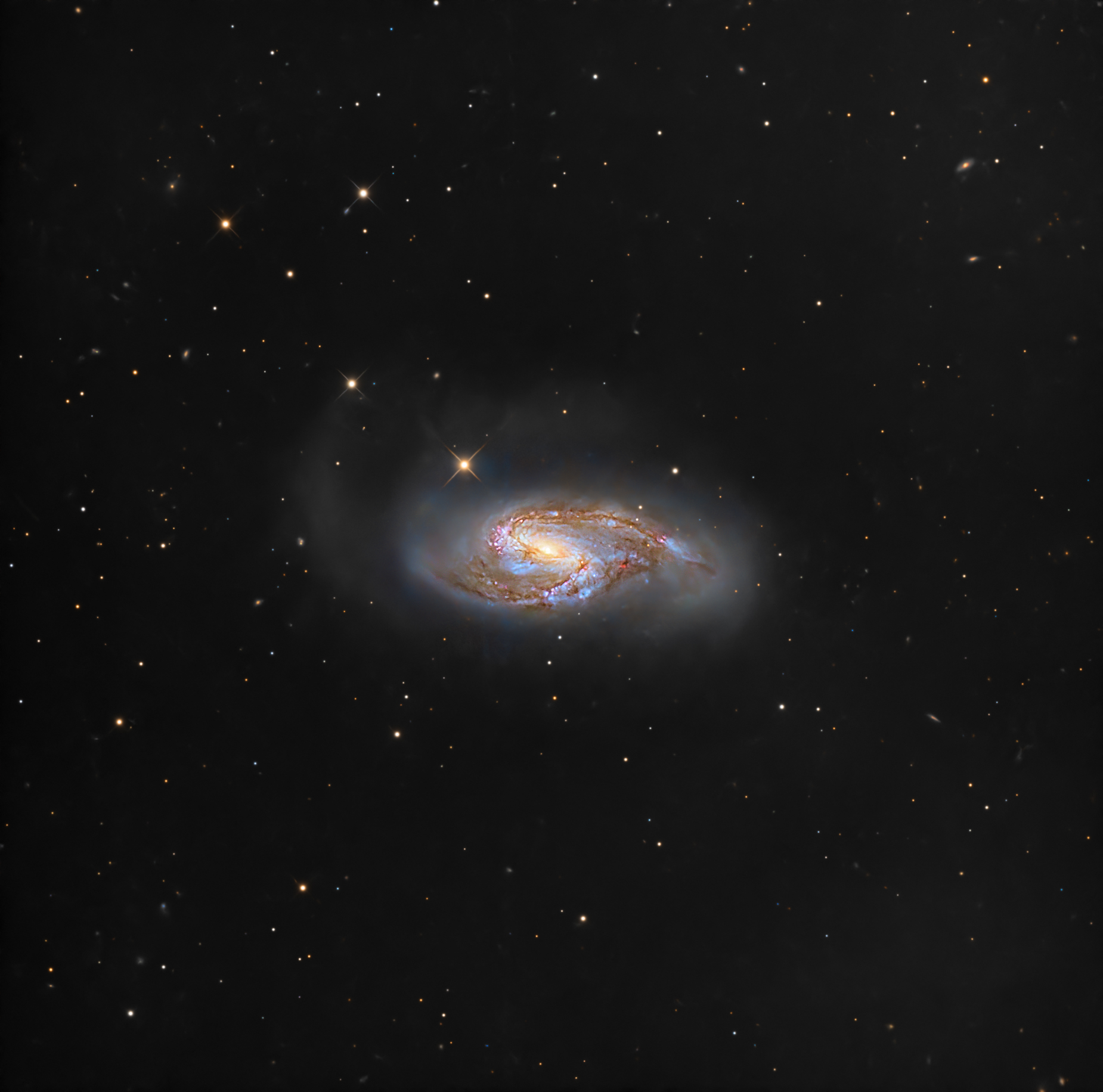 M66 in Leo
