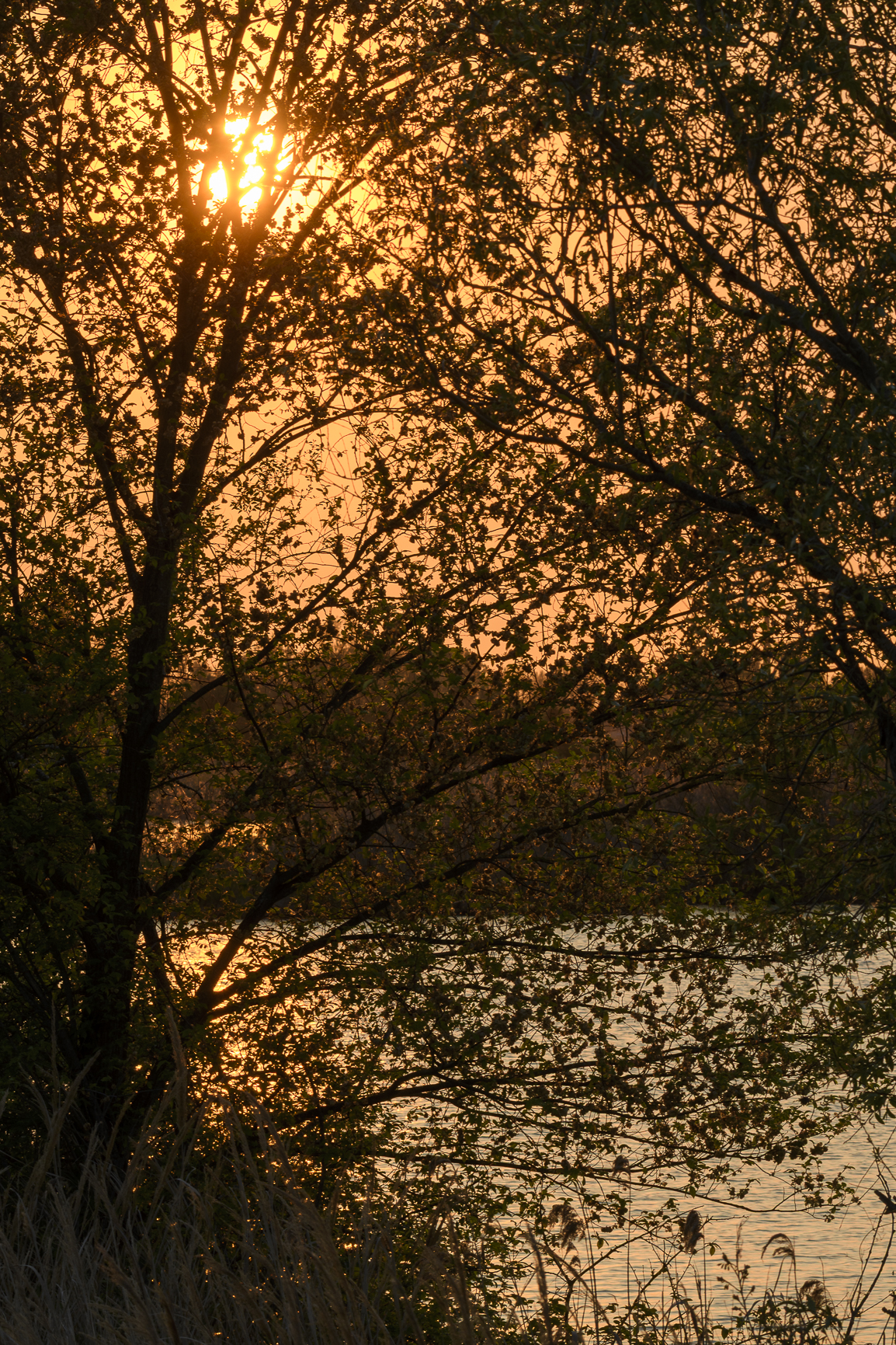 Untitled Photo
