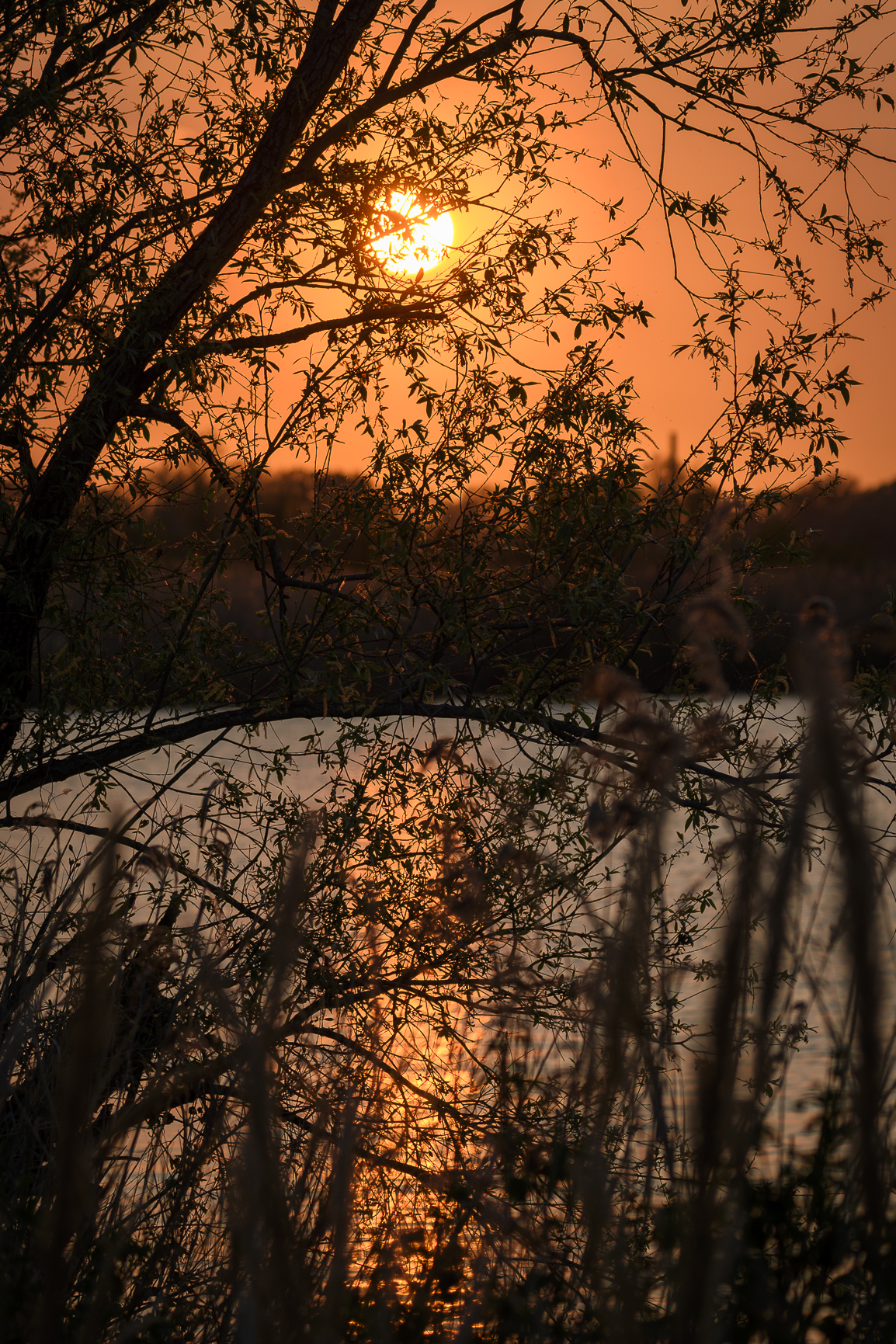 Untitled Photo