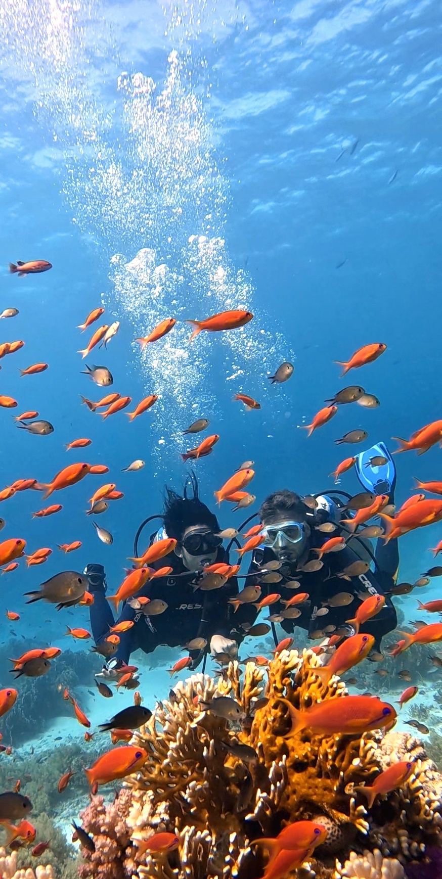 Sea