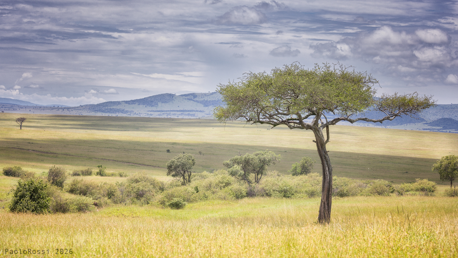 African landscape...