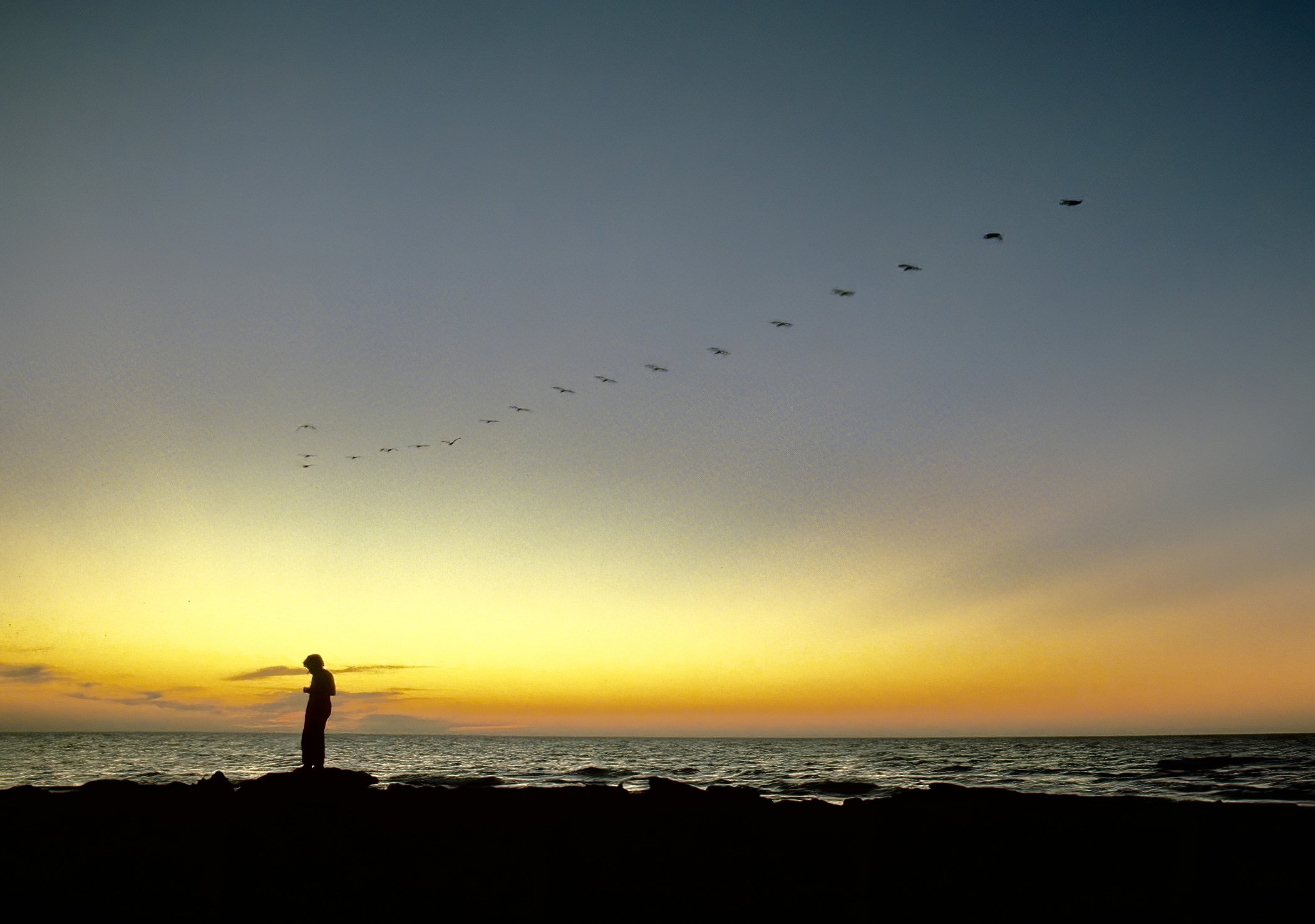 La formazione