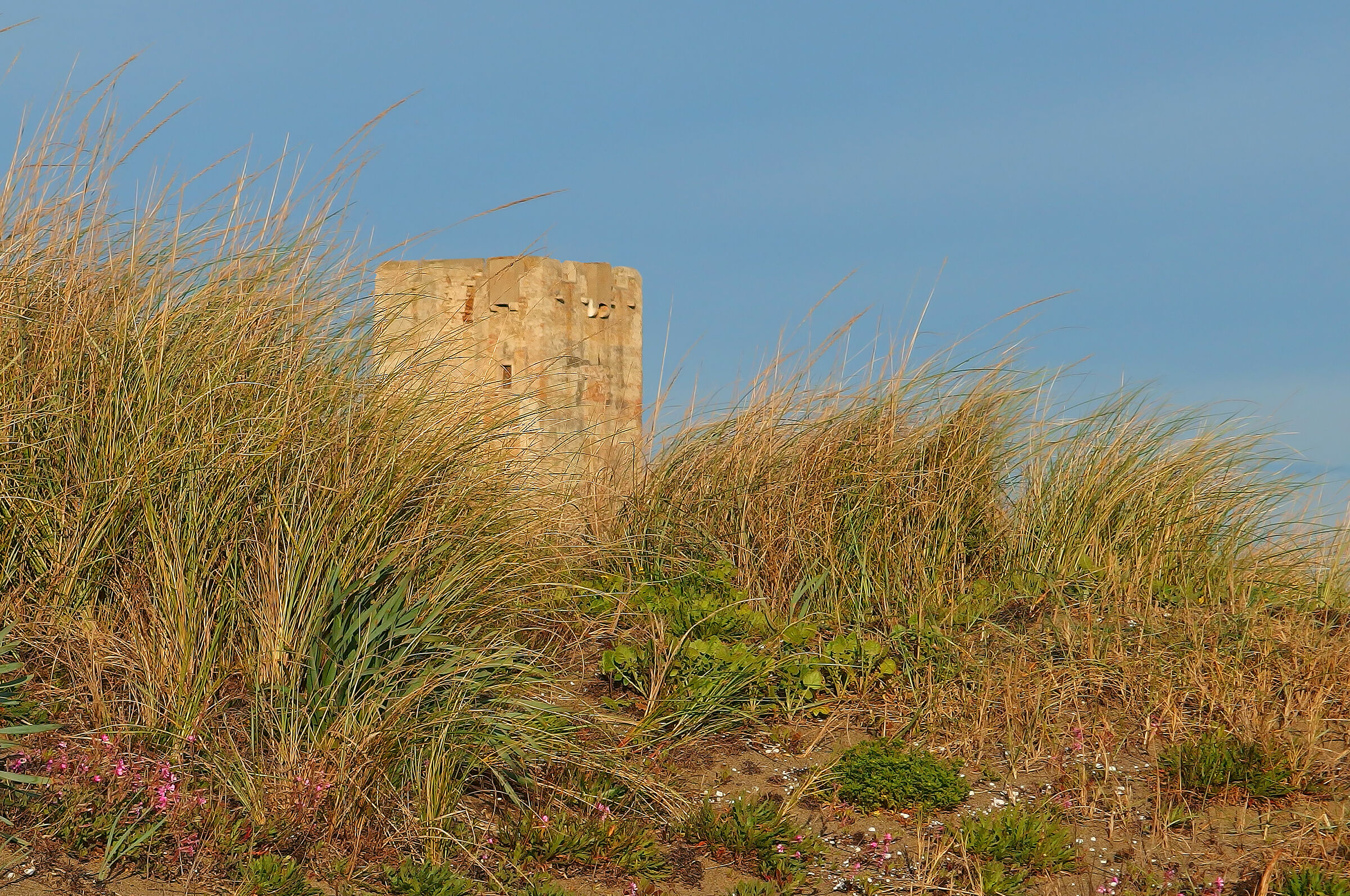 Torre di Palidoro