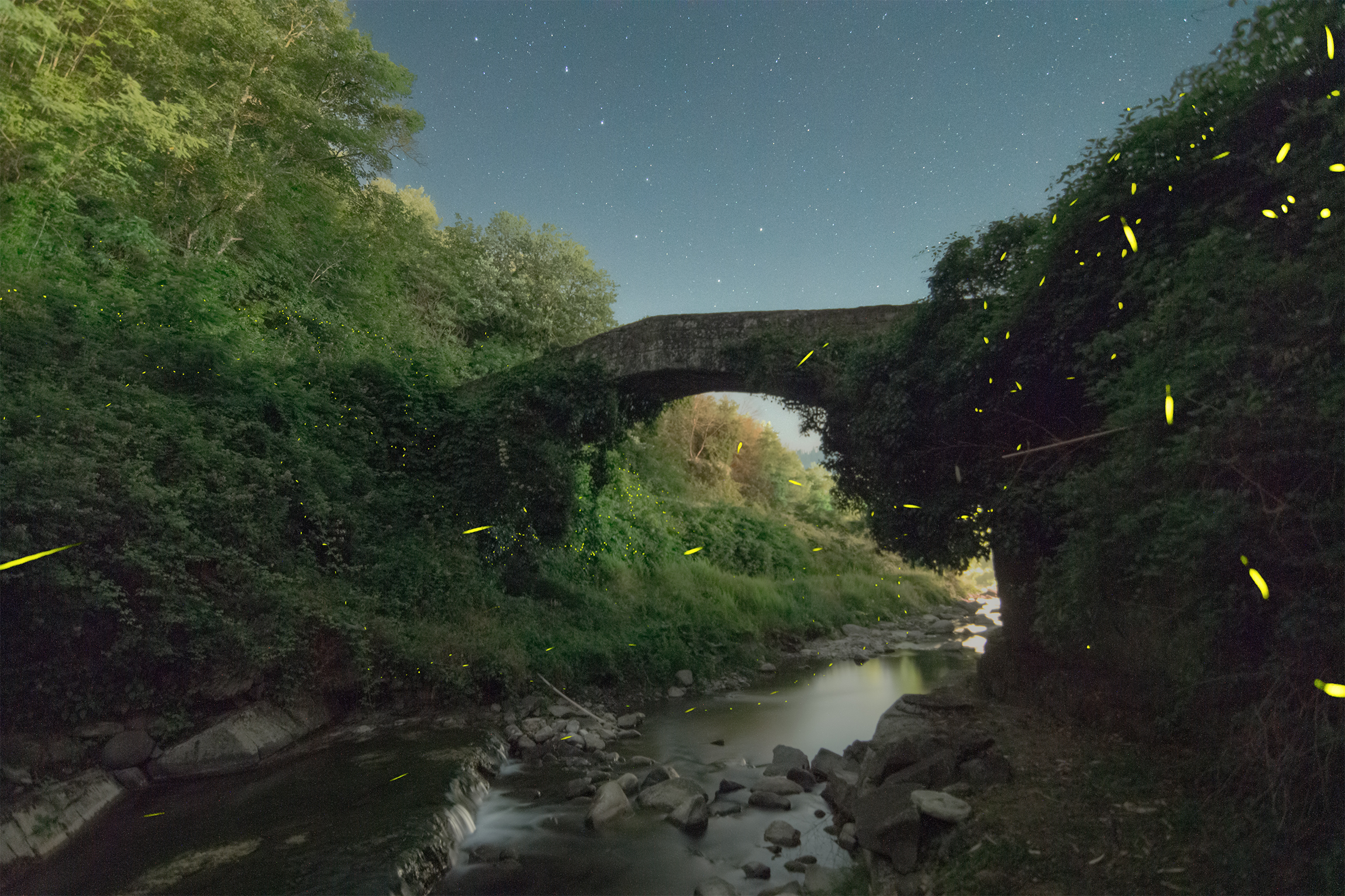 Le lucciole e il vecchio ponte