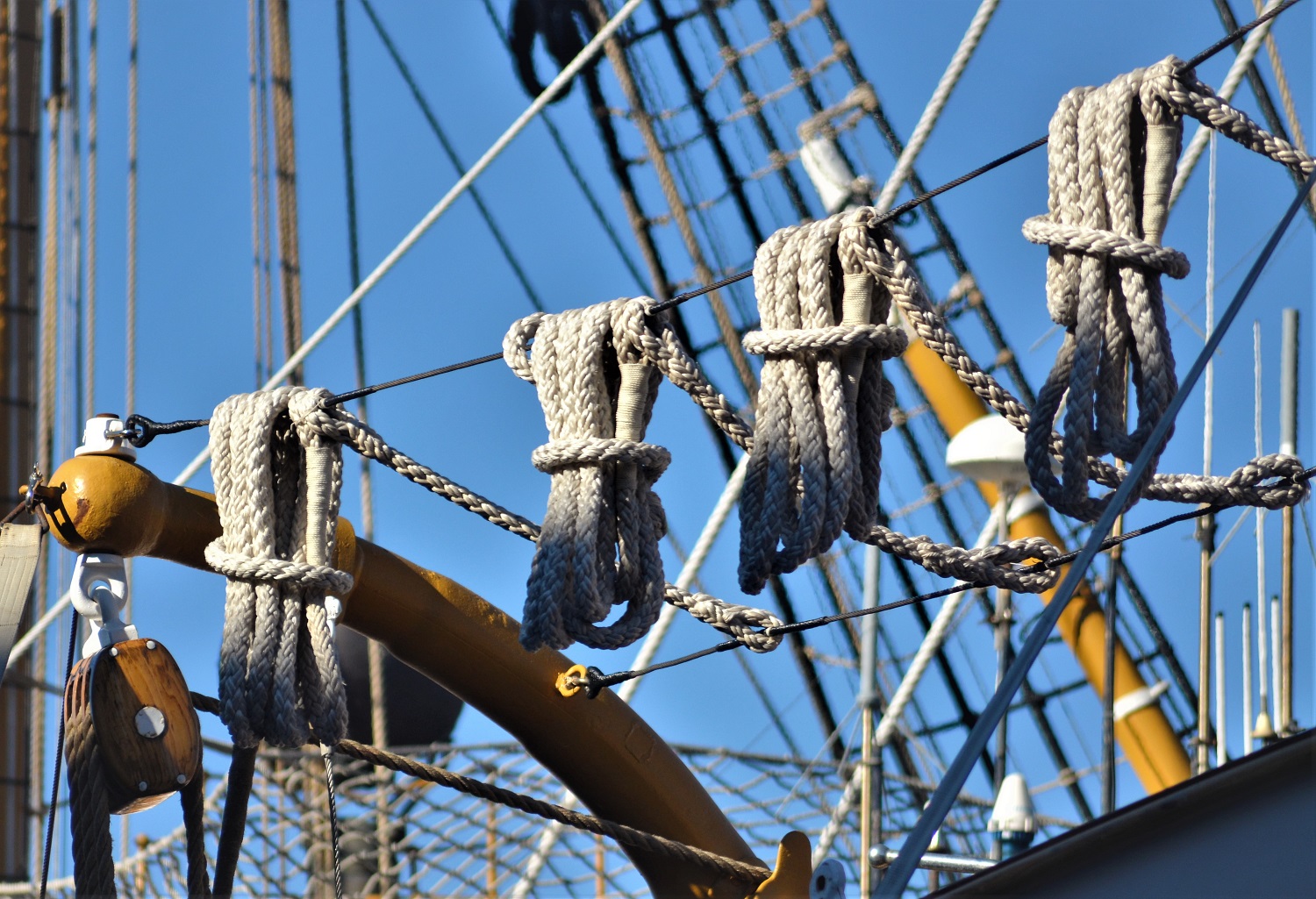 A bordo della Vespucci