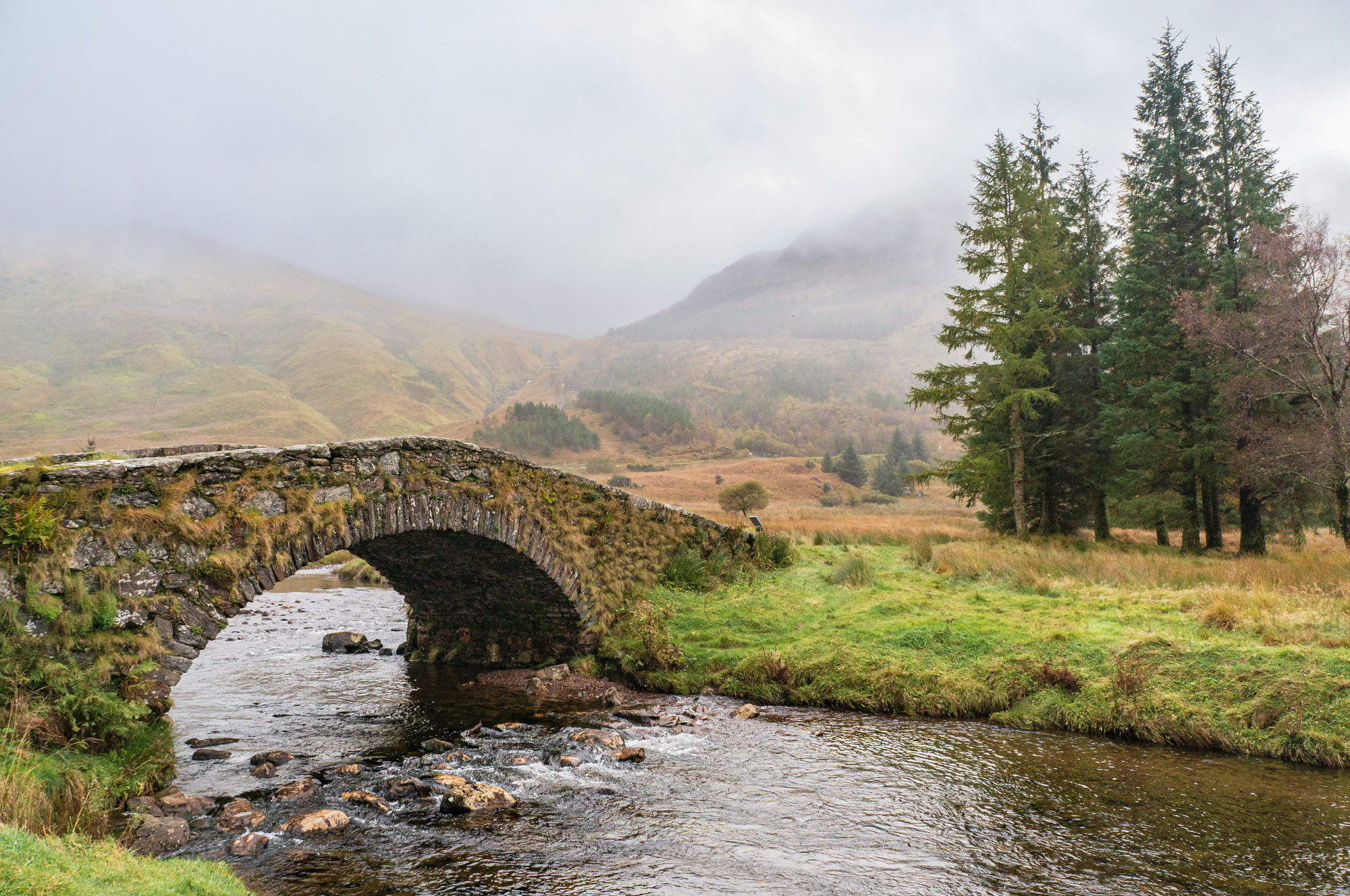 Scotland 1