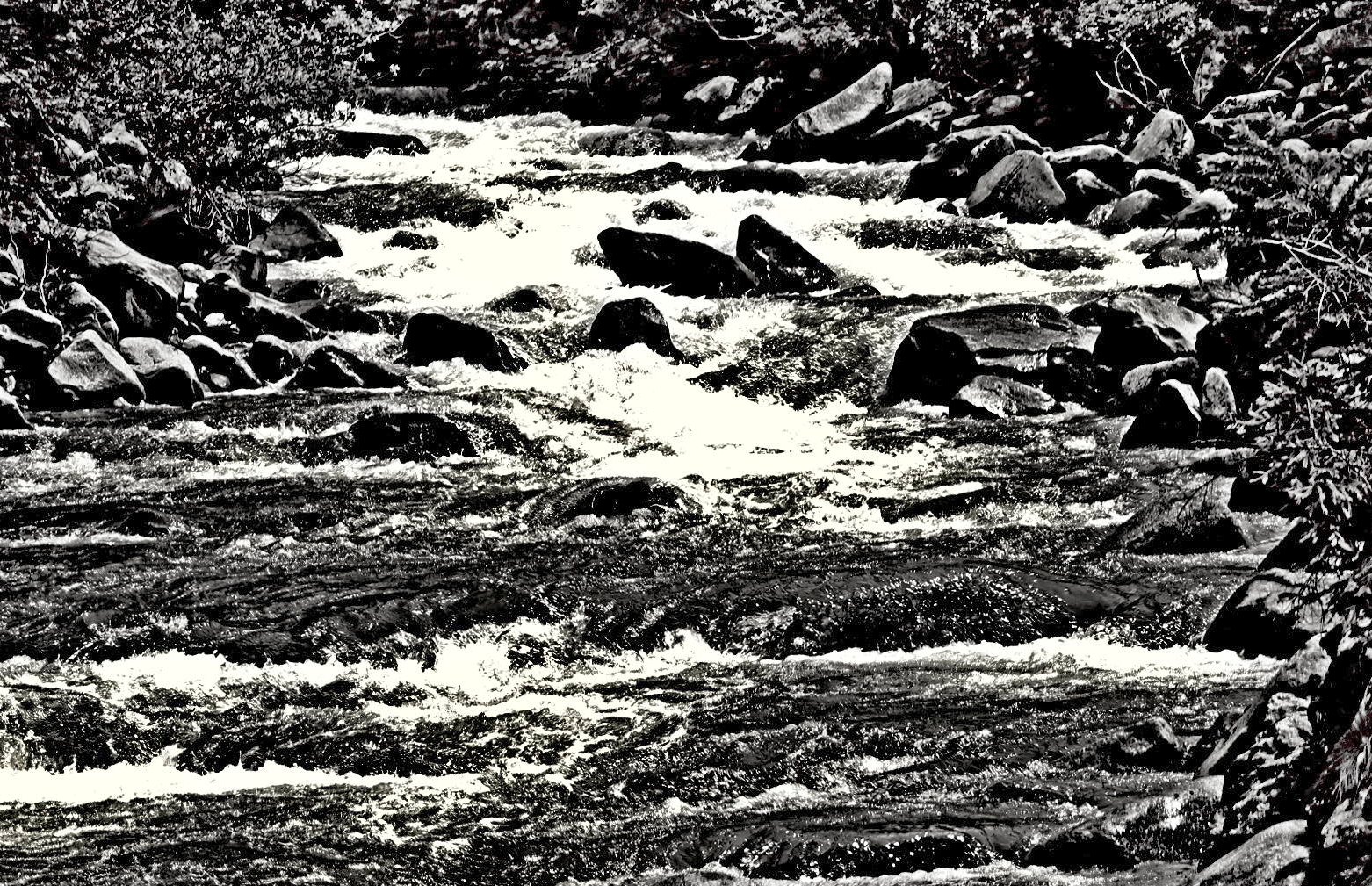 and the river