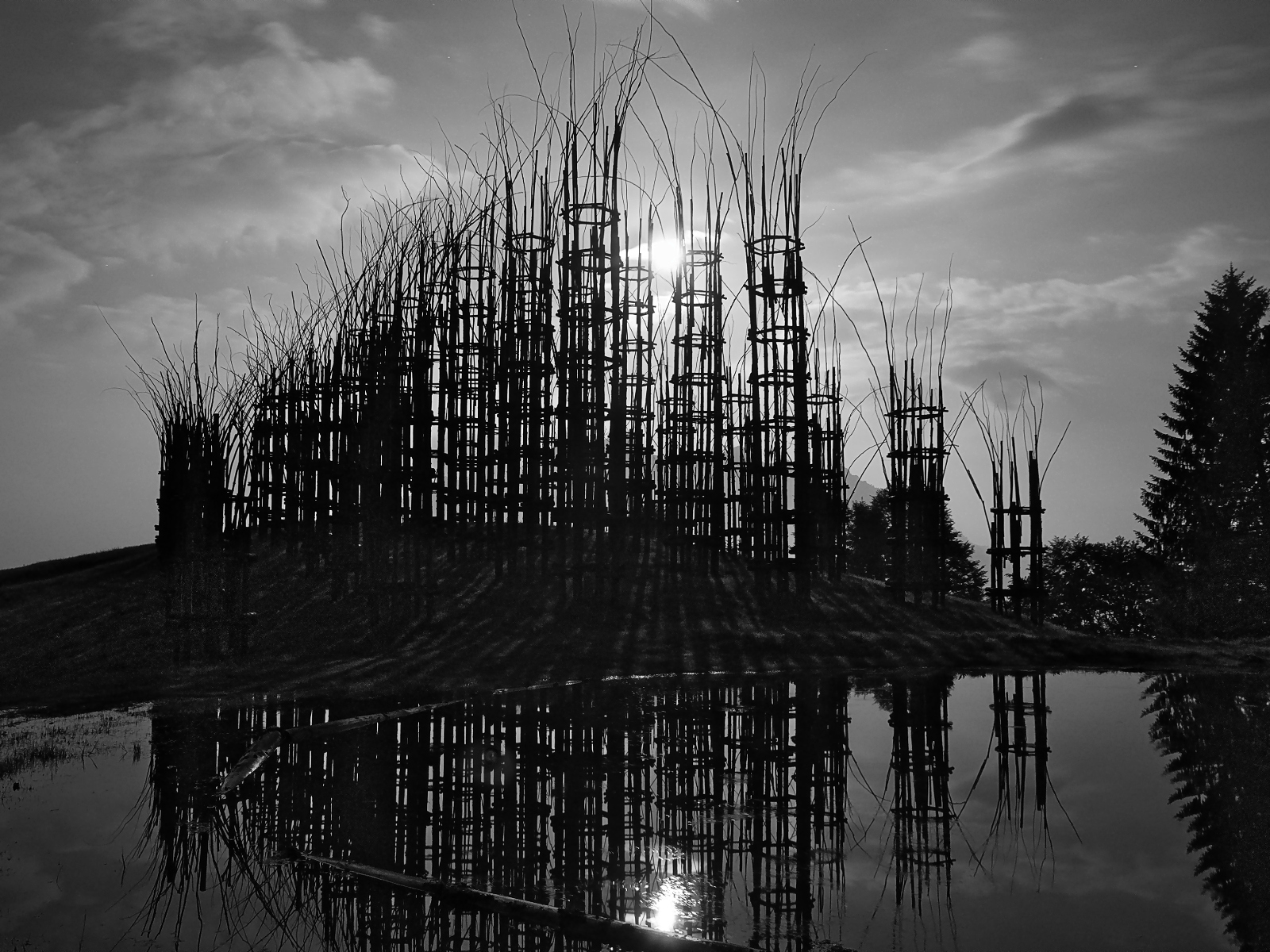 Midnight and Cathedral (of trees) - Over the Hill