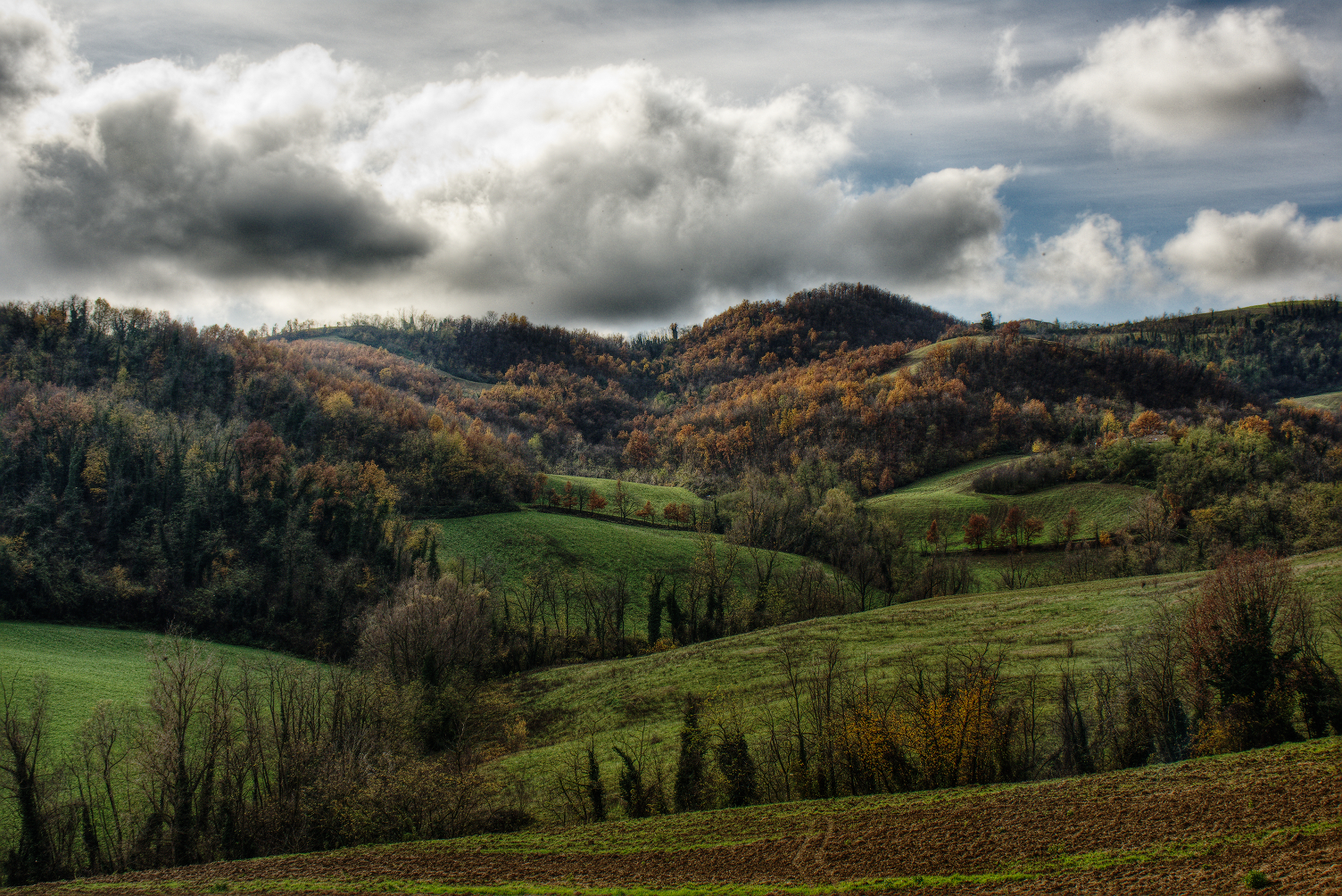 Bosco del Papa dopo la pioggia