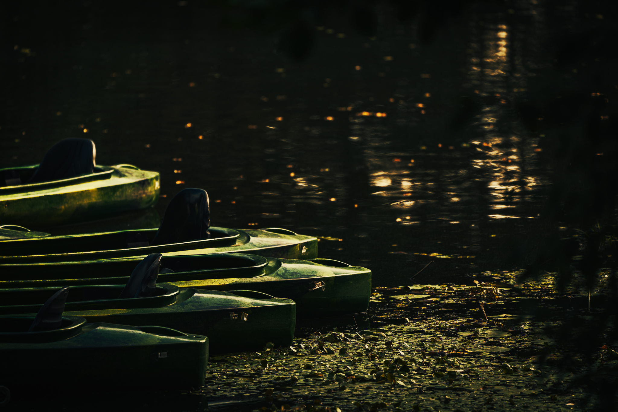 Riflessi serali - Evening Reflections