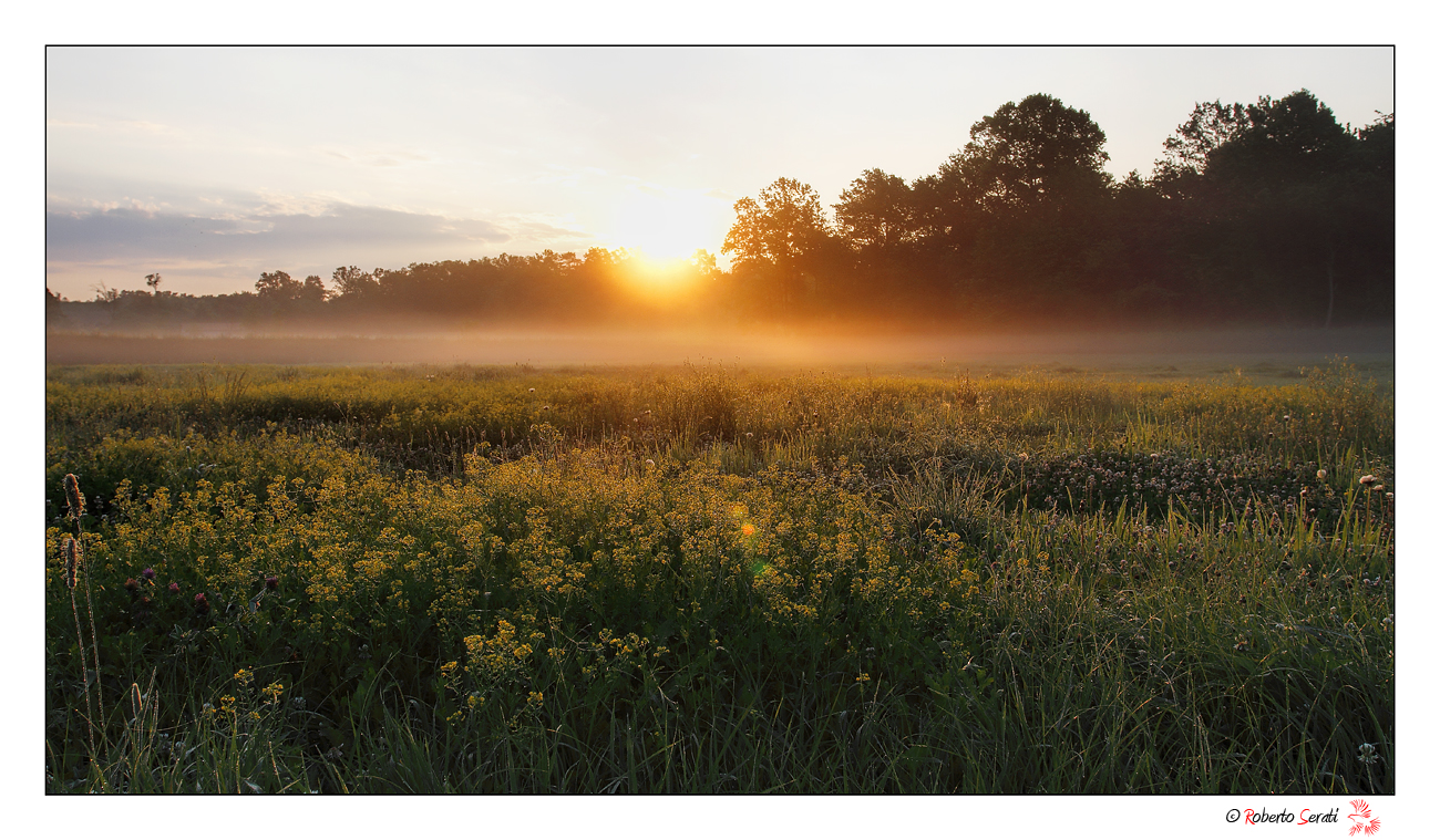 Prime luci sulla campagna