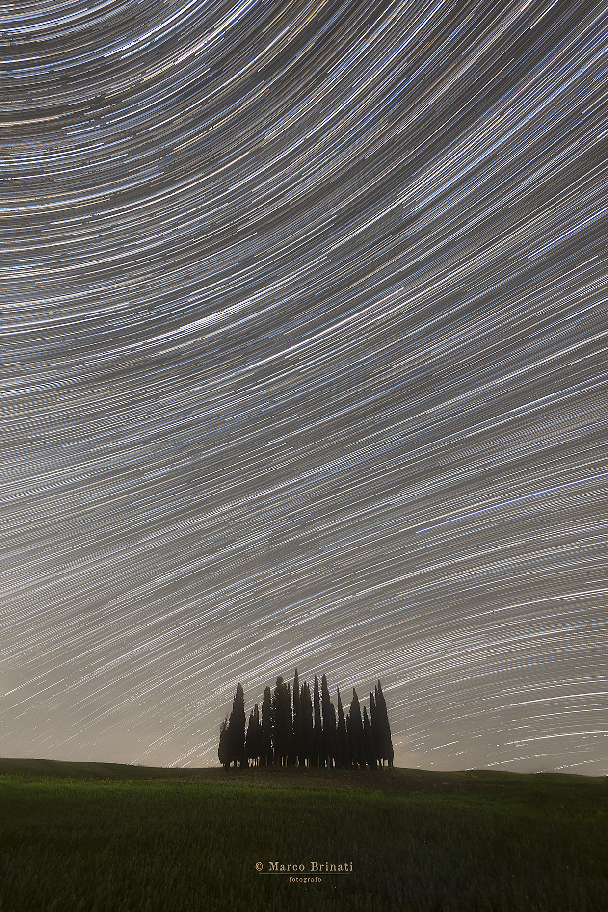 I Cipressini della Val d'Orcia