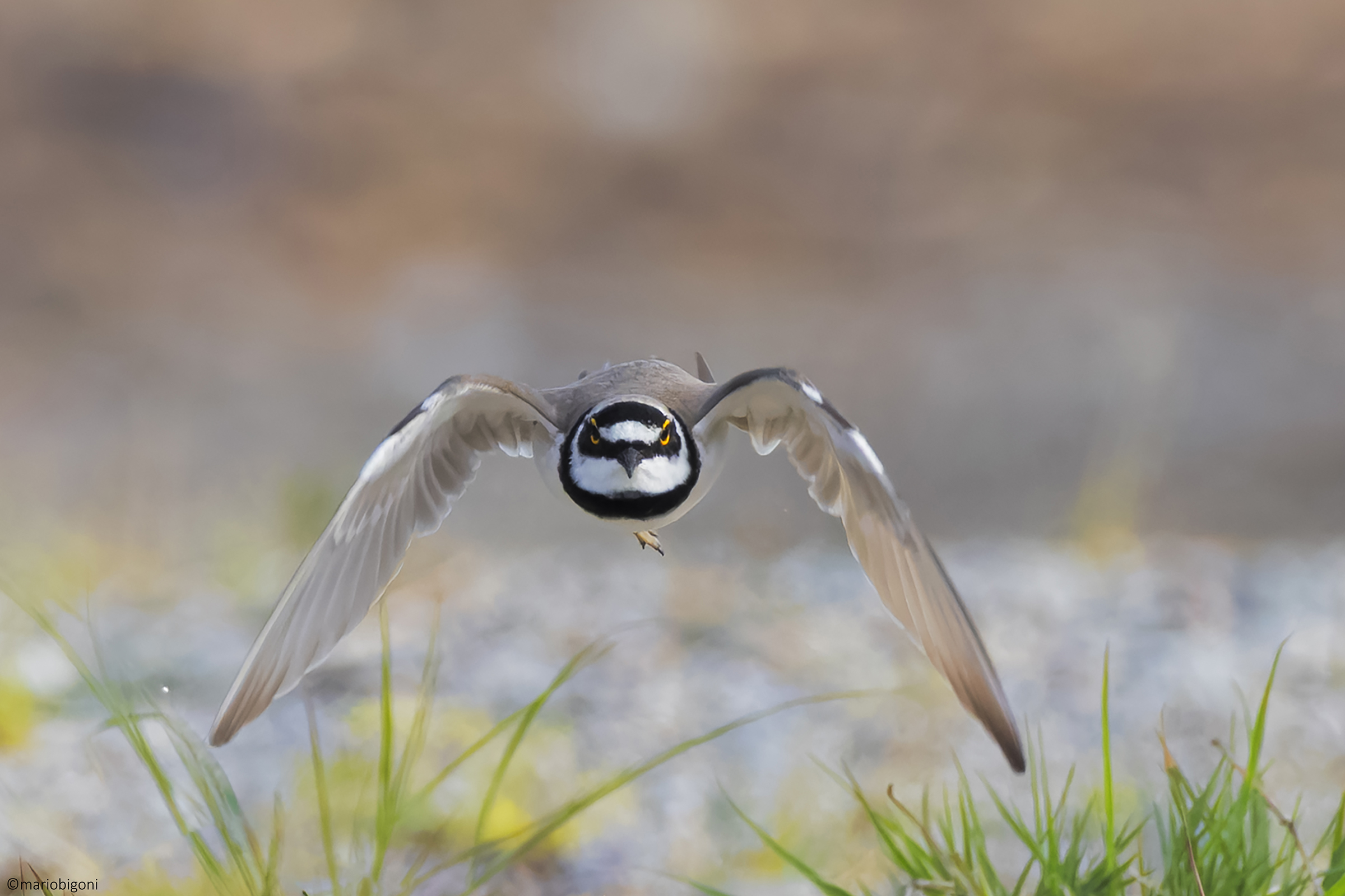 Small courier