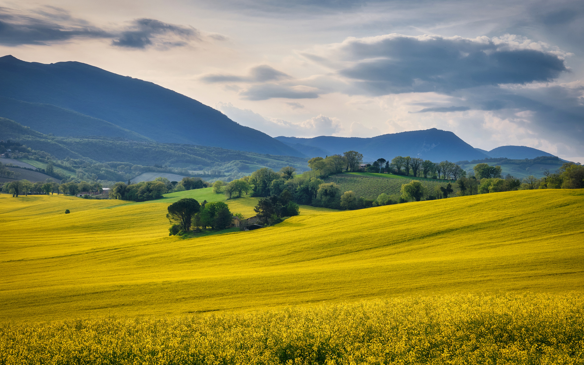 Campagna di Castelraimondo (MC)