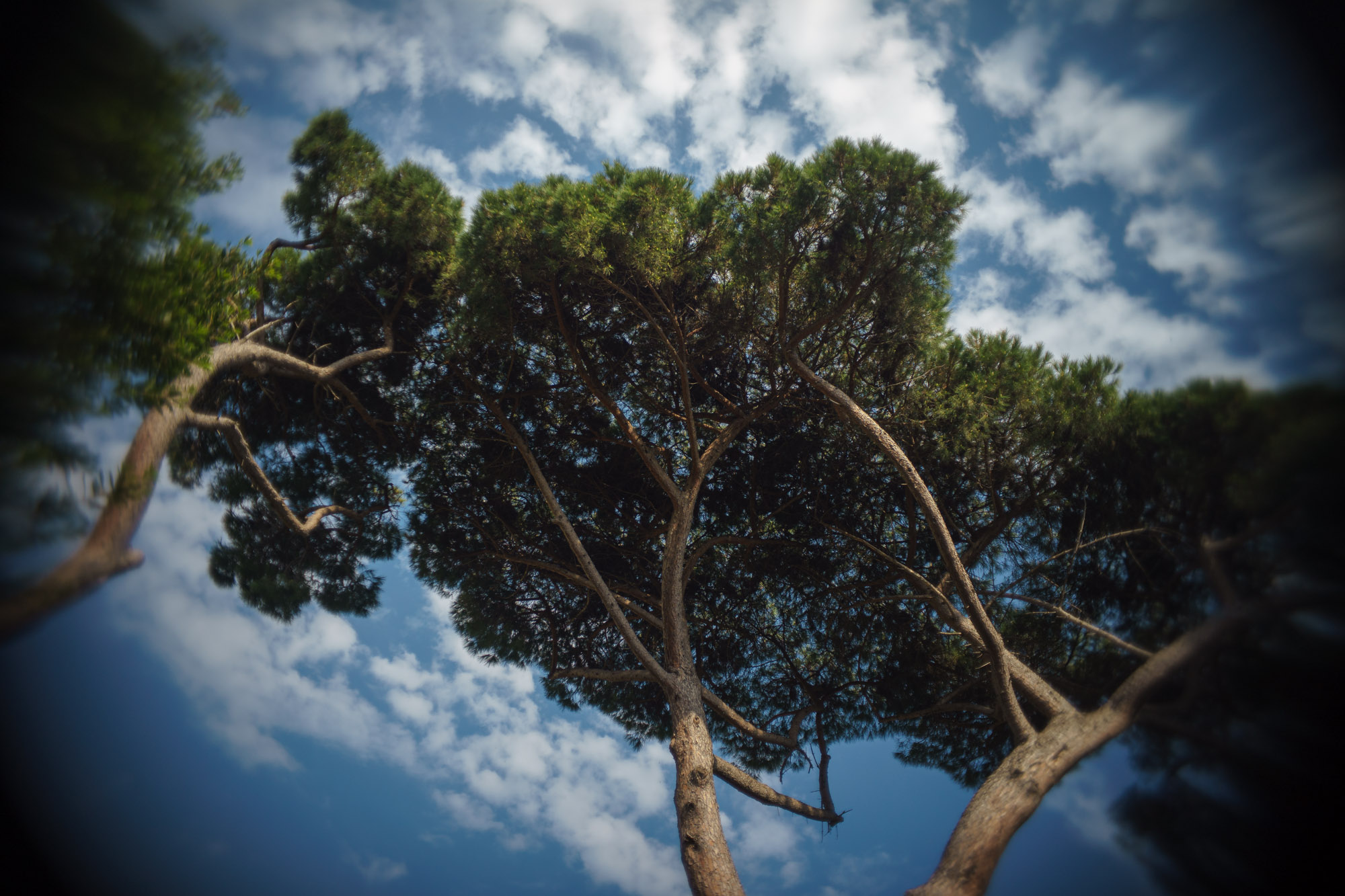Pentax 110 24mm f2.8 - 3