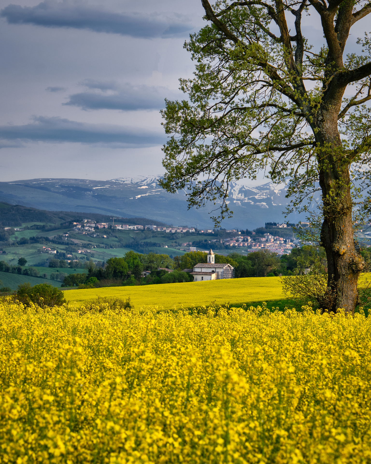 Campagna di Castelraimondo (MC)