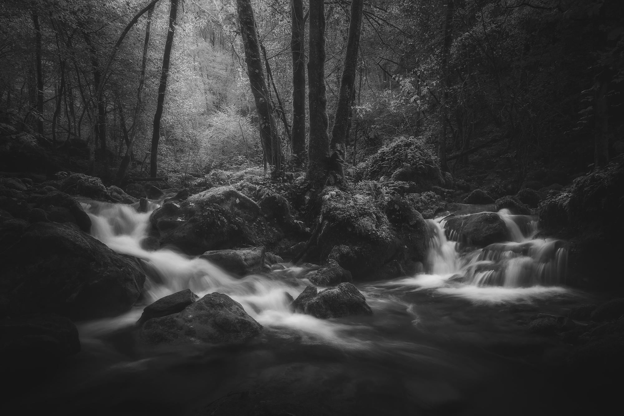 Where Stillness Divides