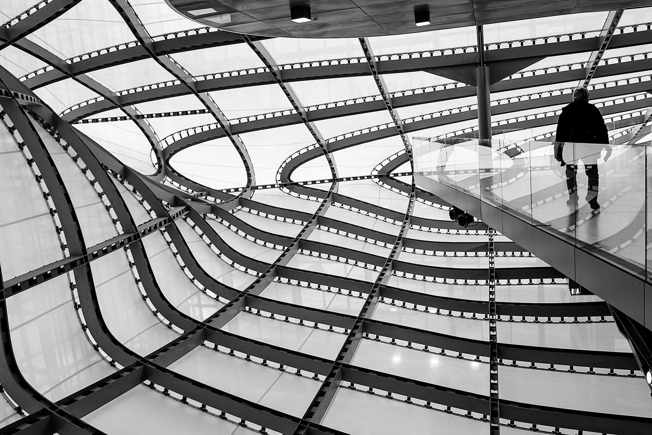 Curve e Strutture