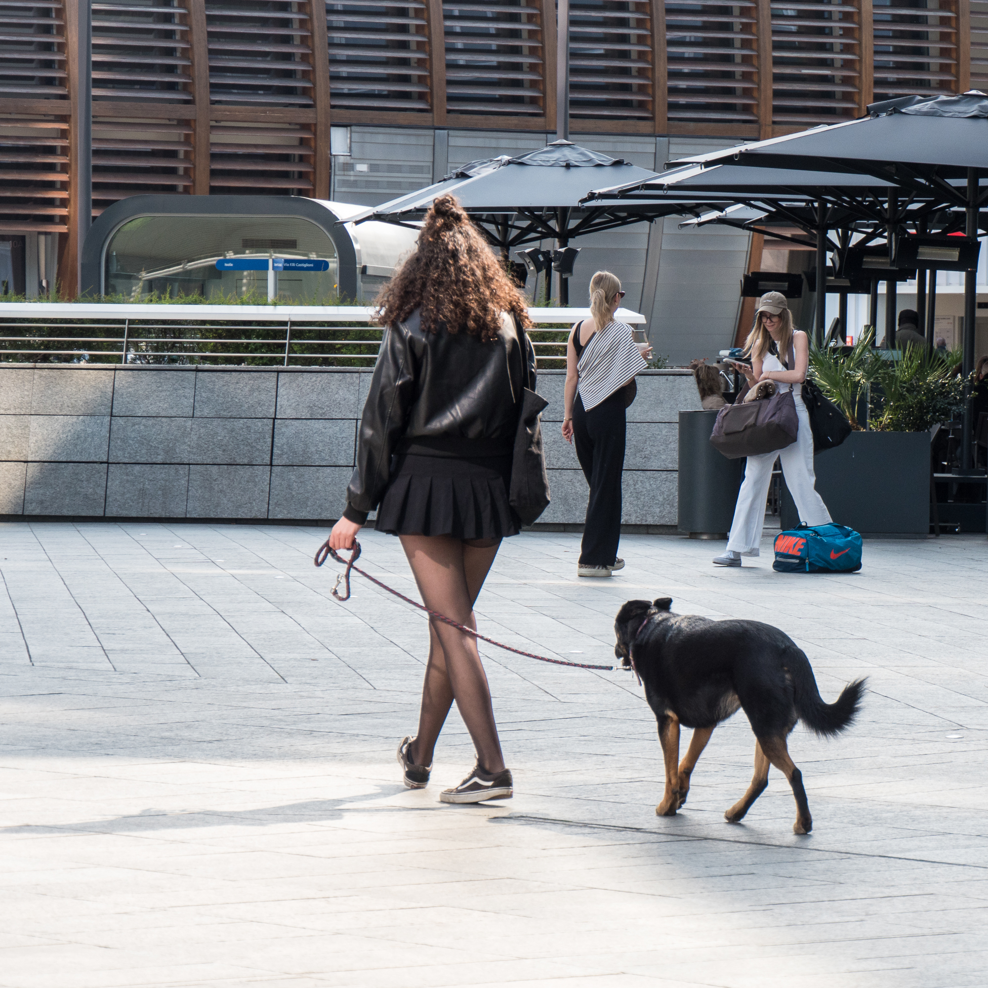 legs and dog