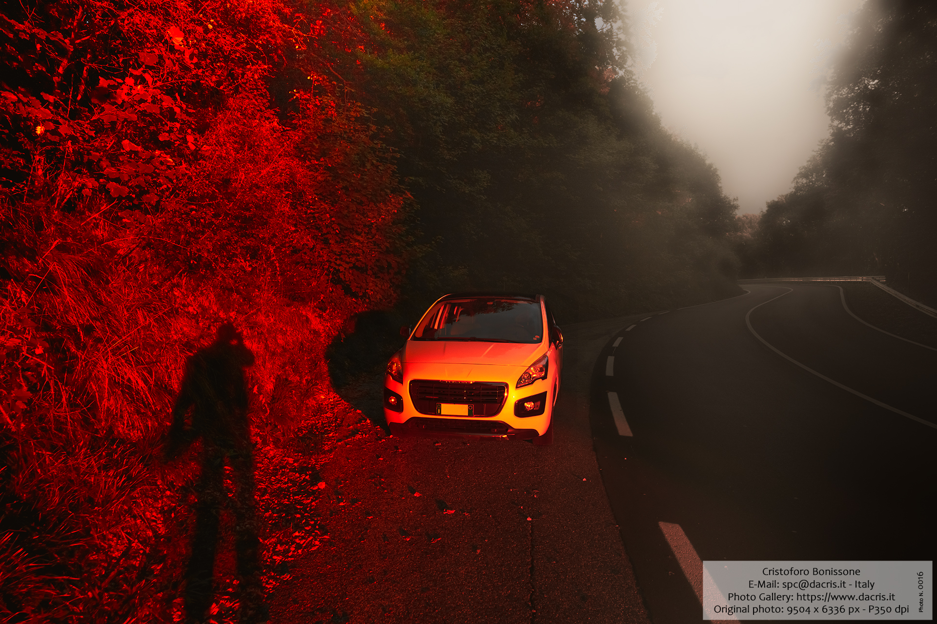 Red Fog (Sunset)