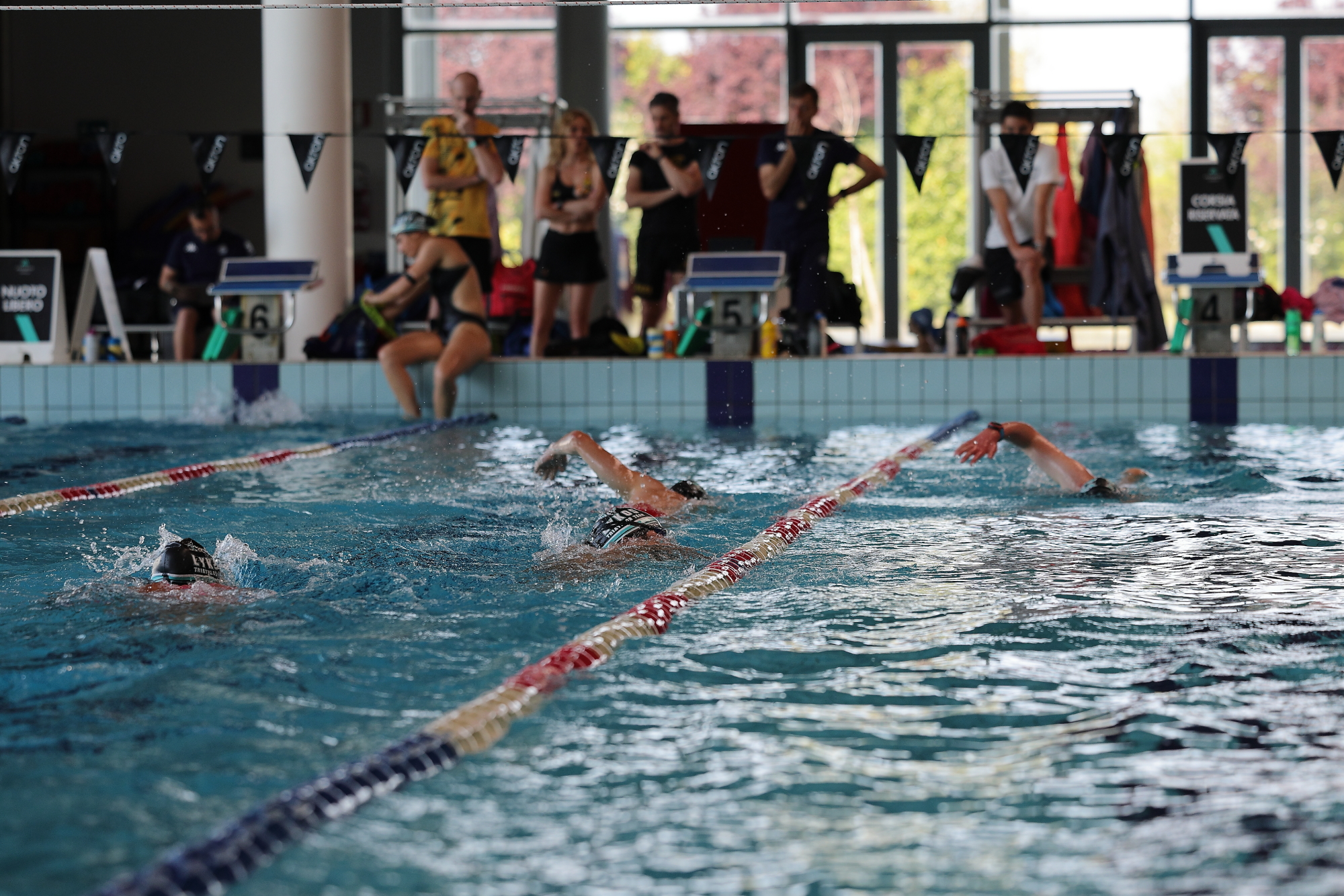 Triathlon Paraathlete Preparation