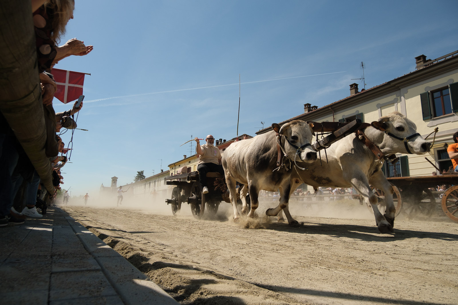 Caresana Ox Race (VS) 2026