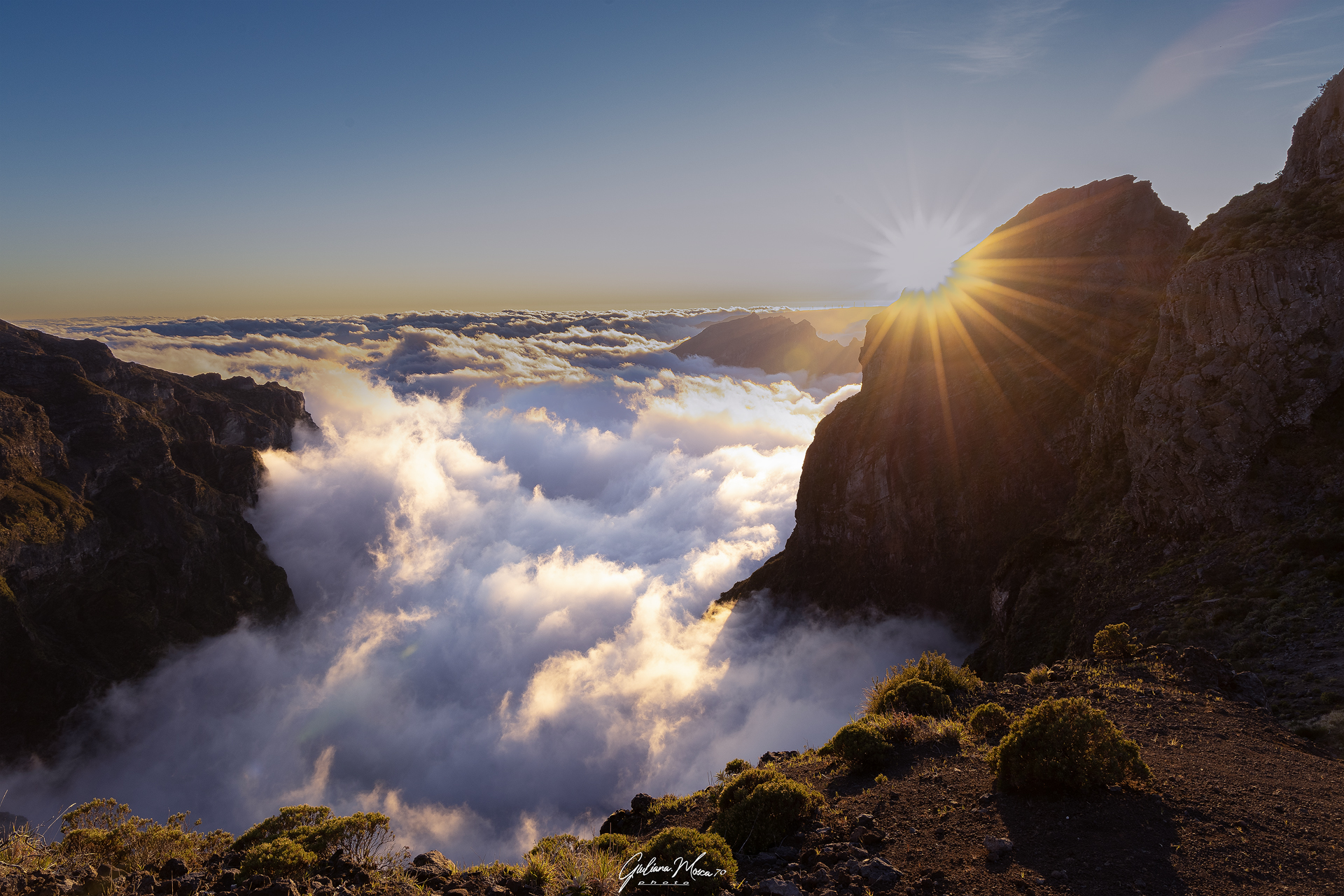 Pico de atreeira