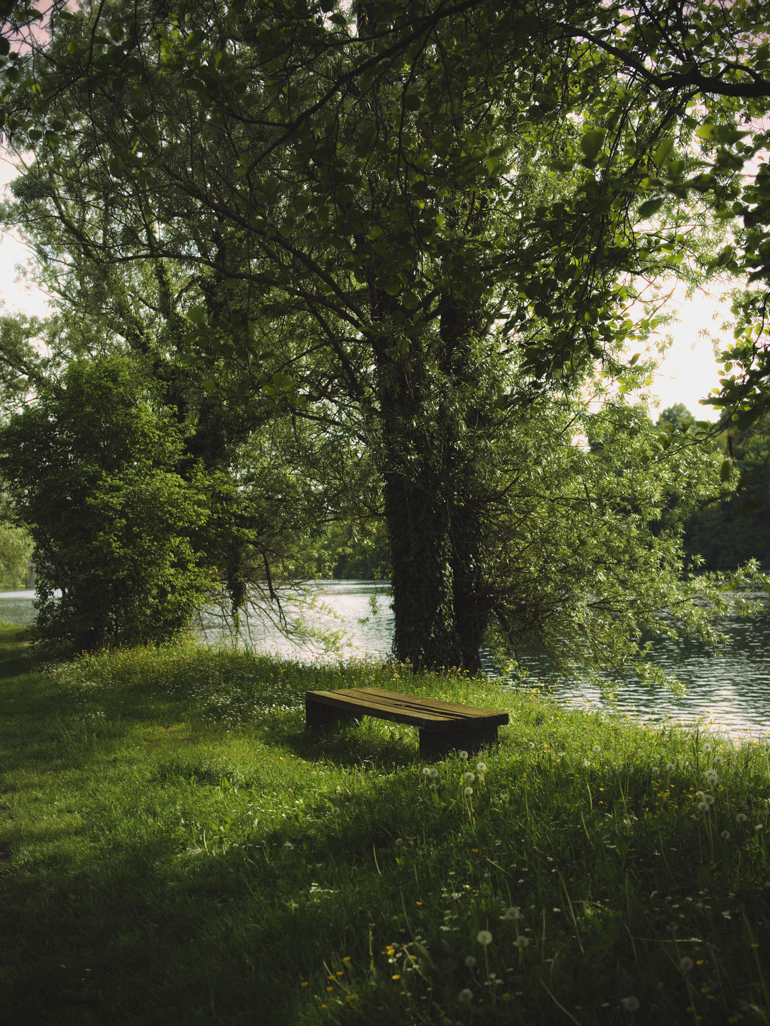 Rest