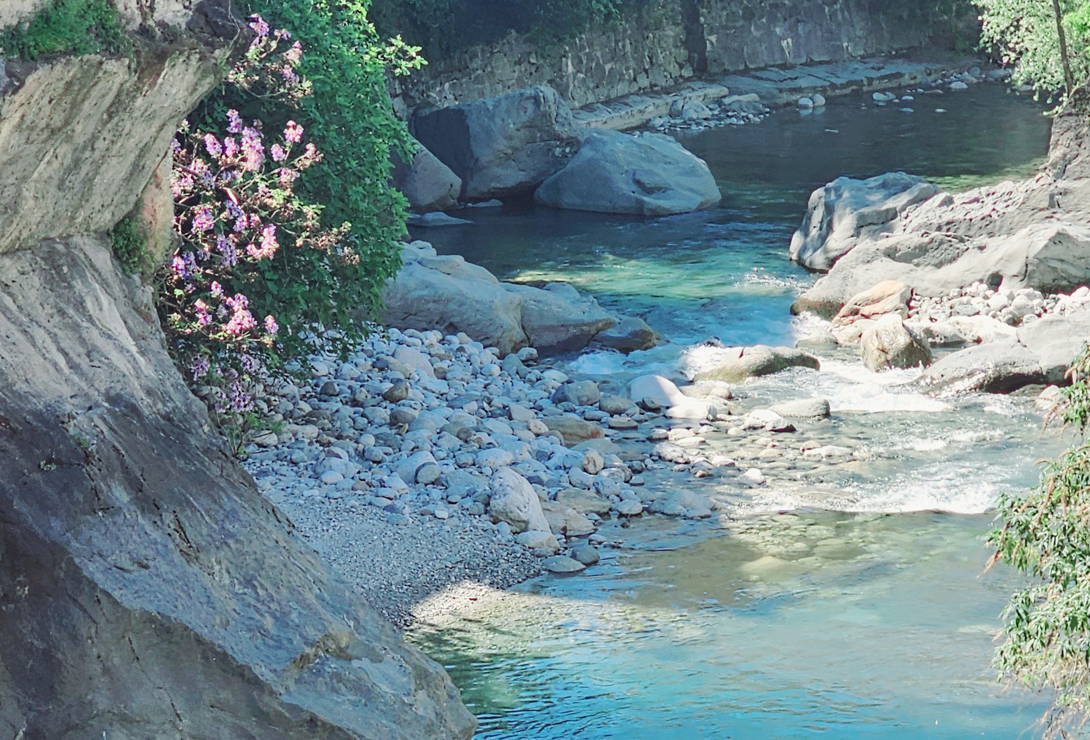 Il ritorno dei colori
