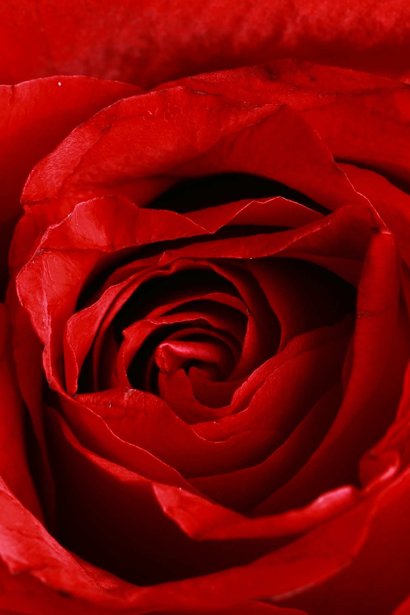 Deep red