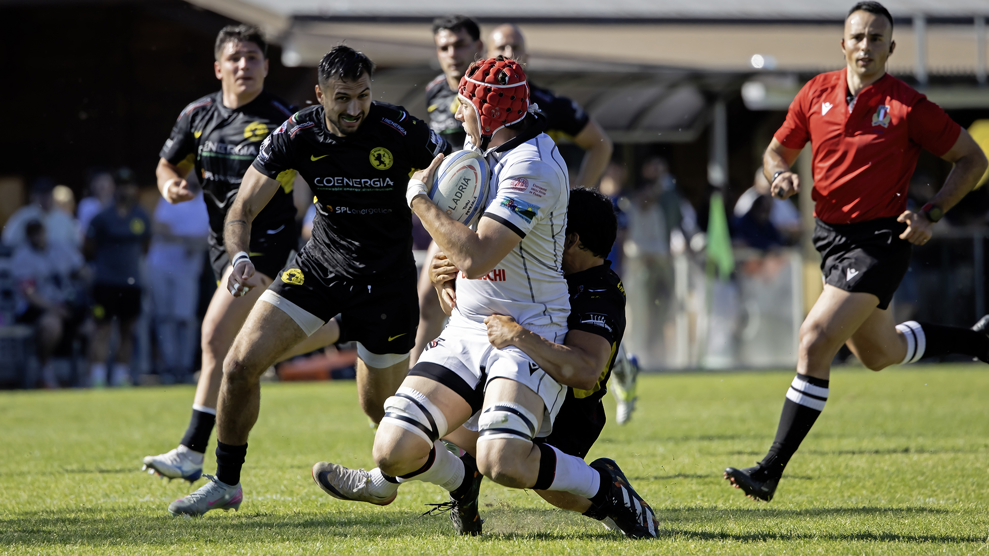 Viadana vs Petrarca