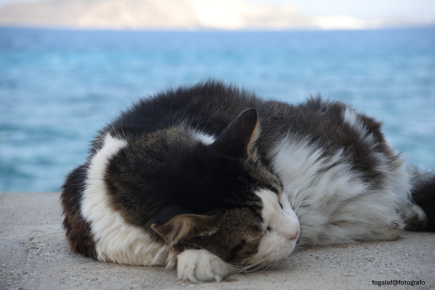 #GRECIA
