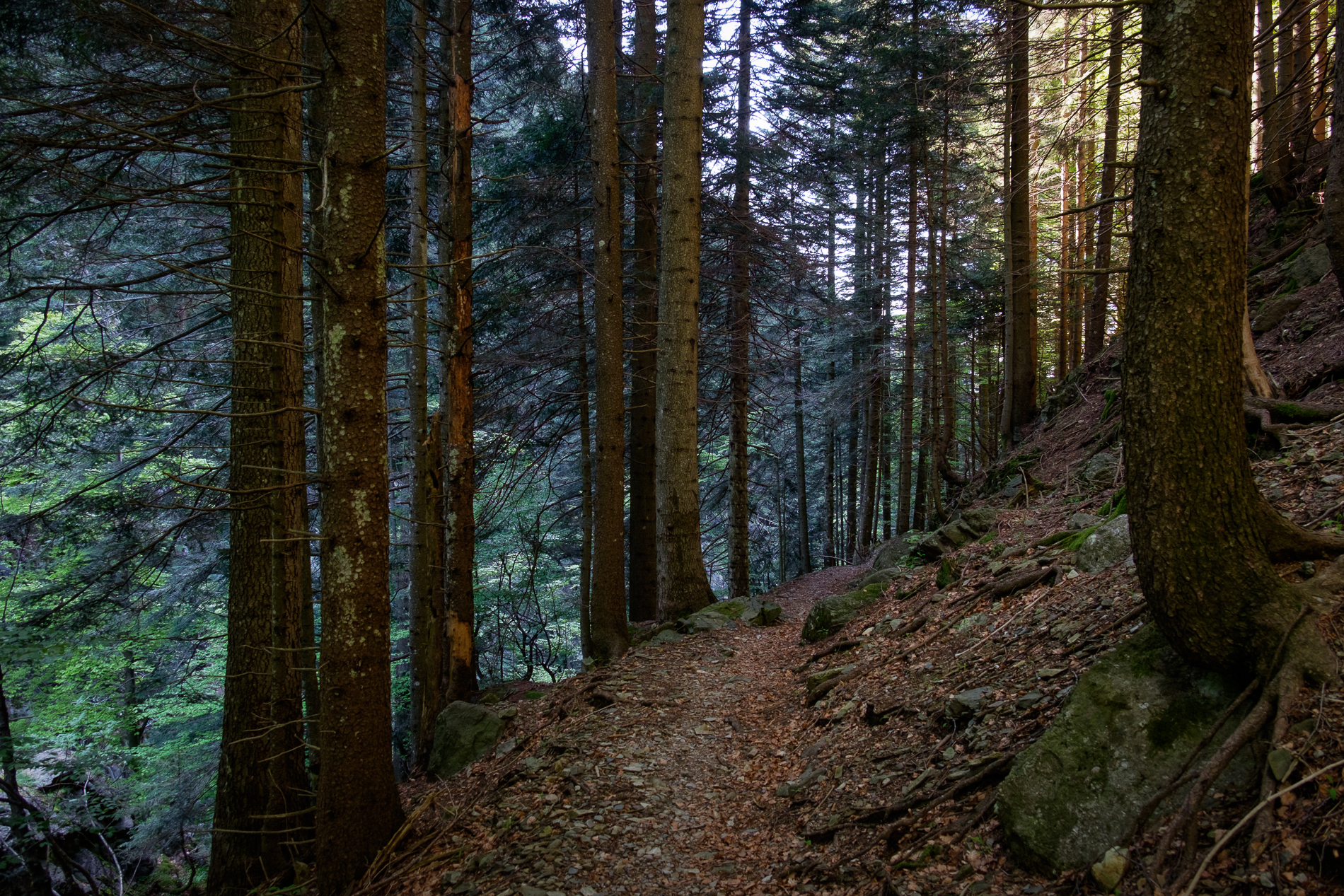 The way forward