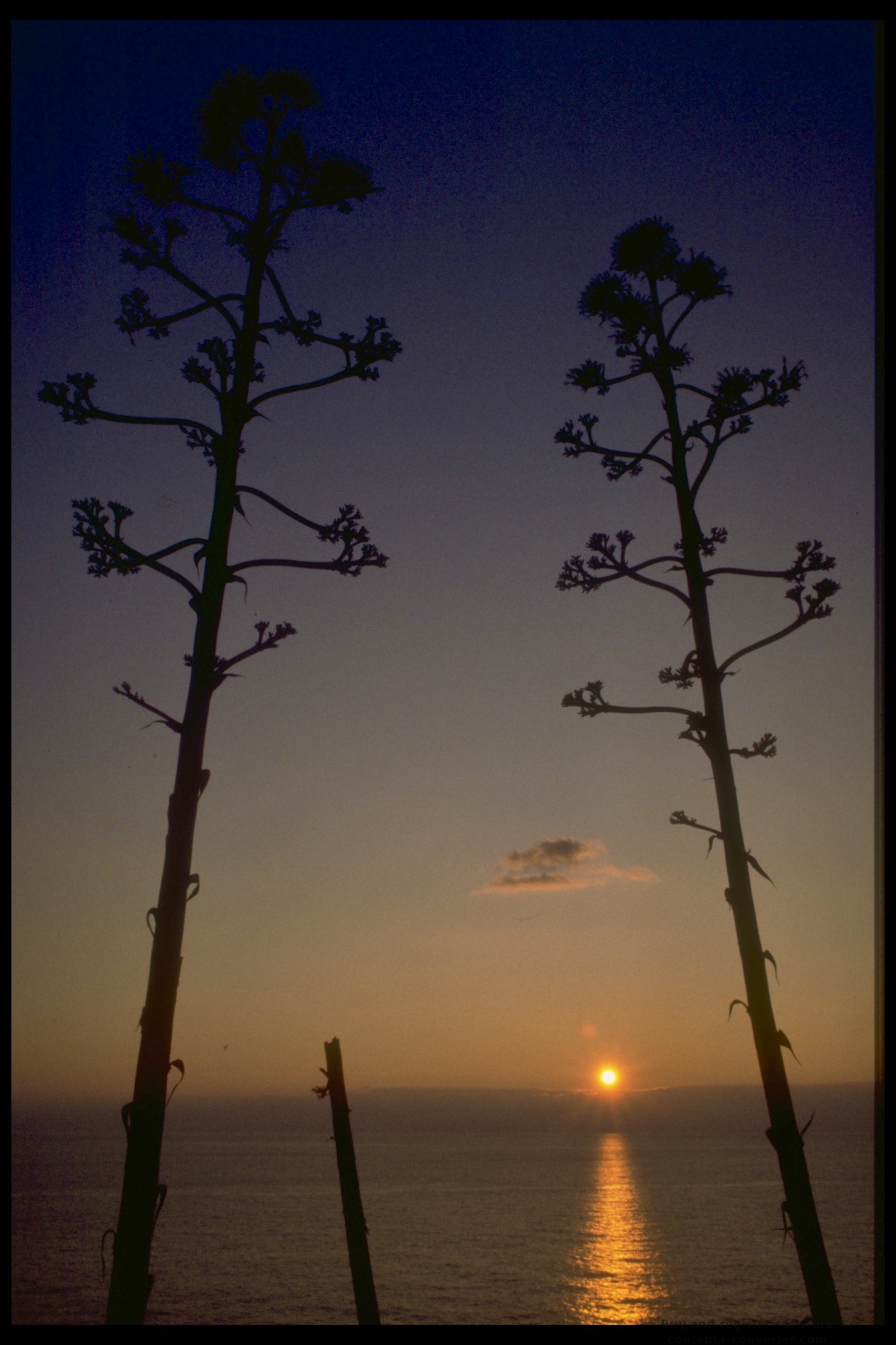 Sunset from the path of love
