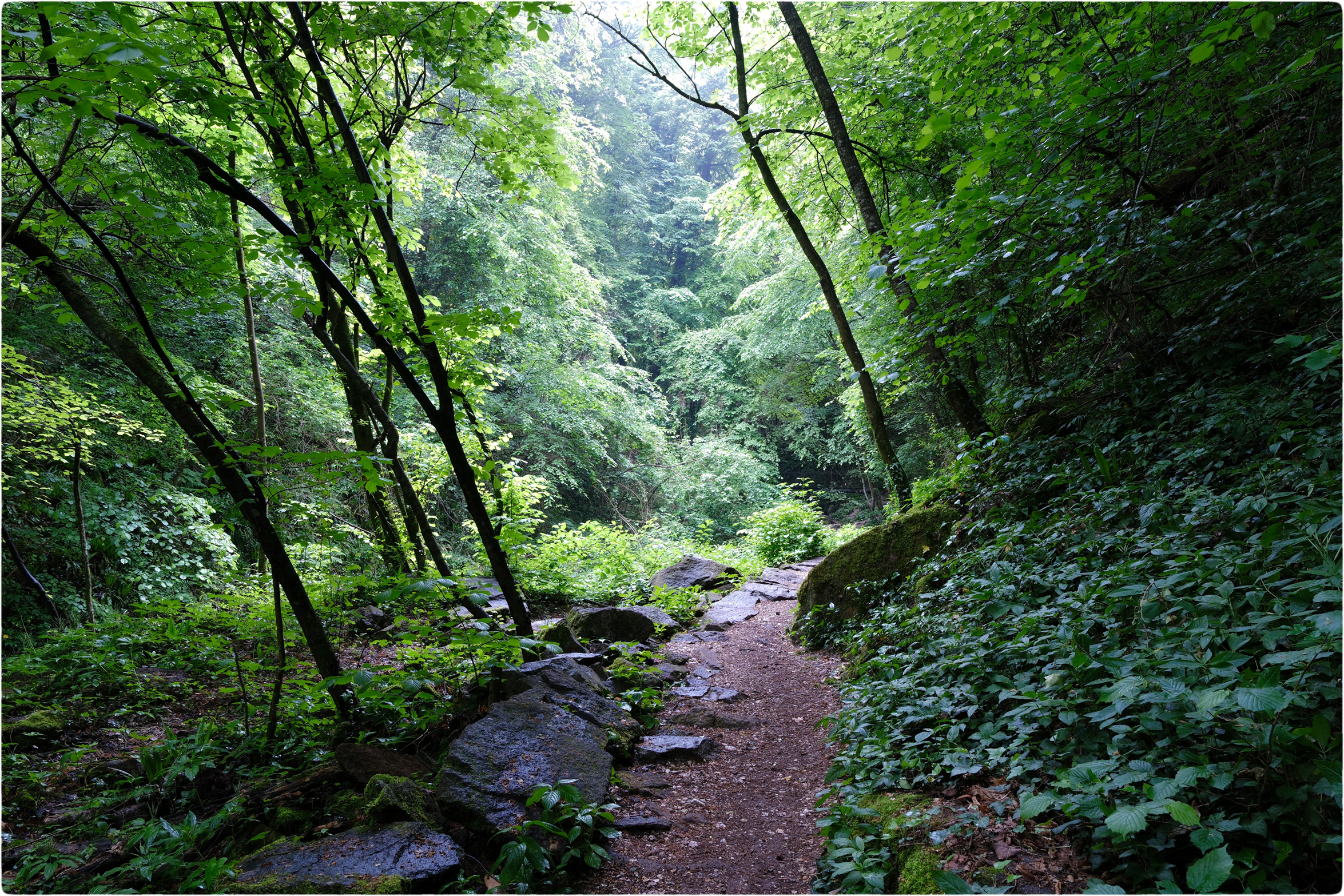 -the green valley-
