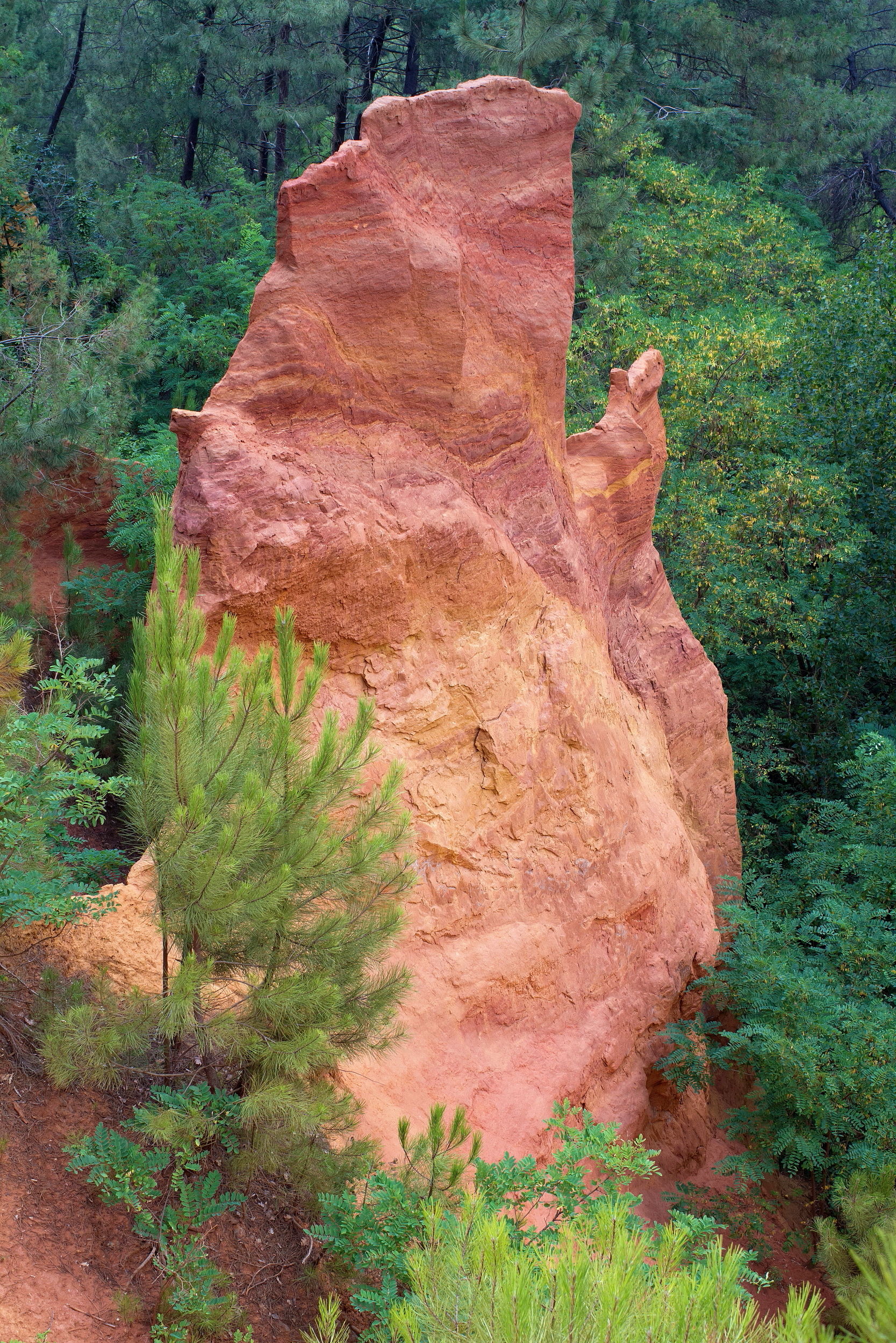 Le sentier Des Ocres  Roussillon