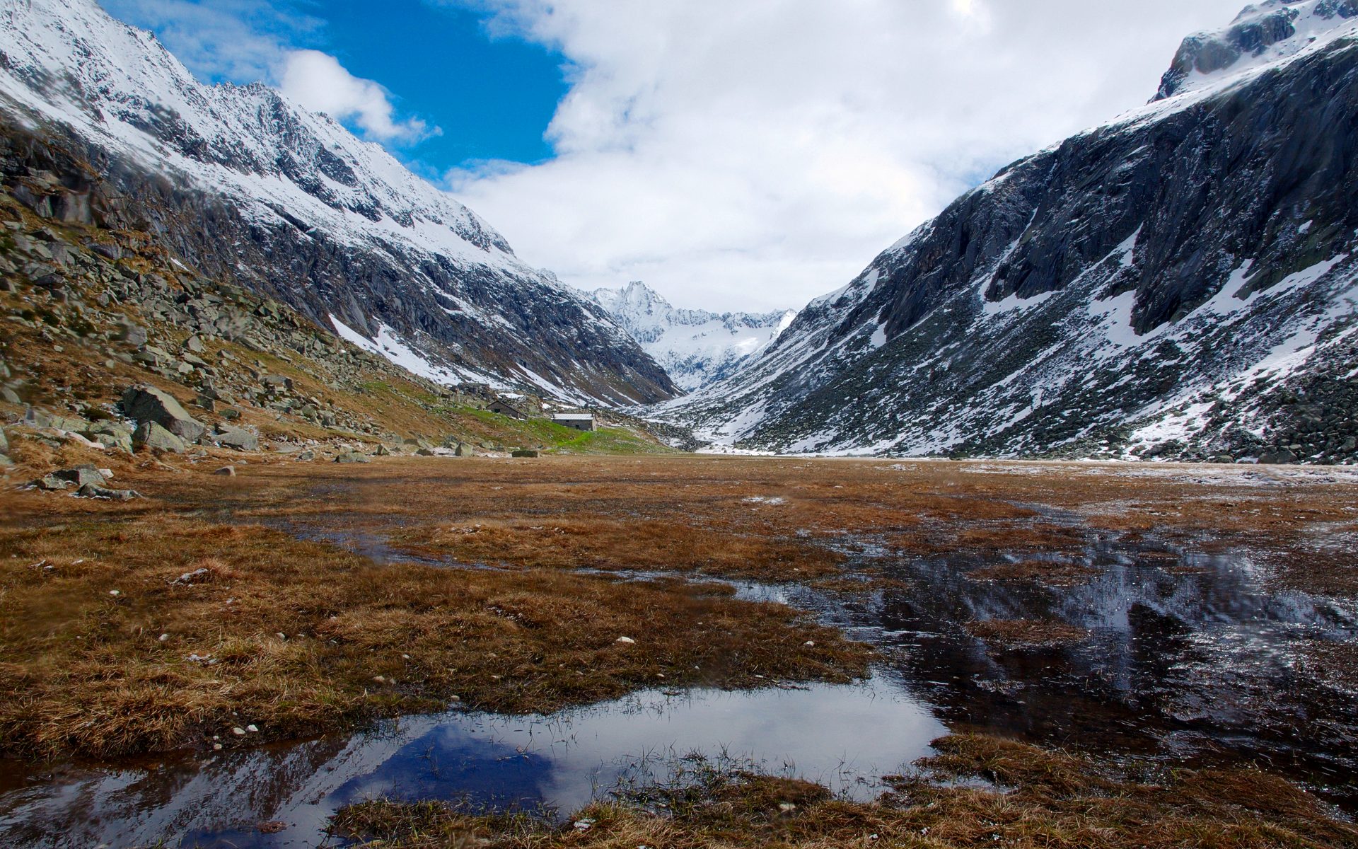 Spring in the Valley Adame '